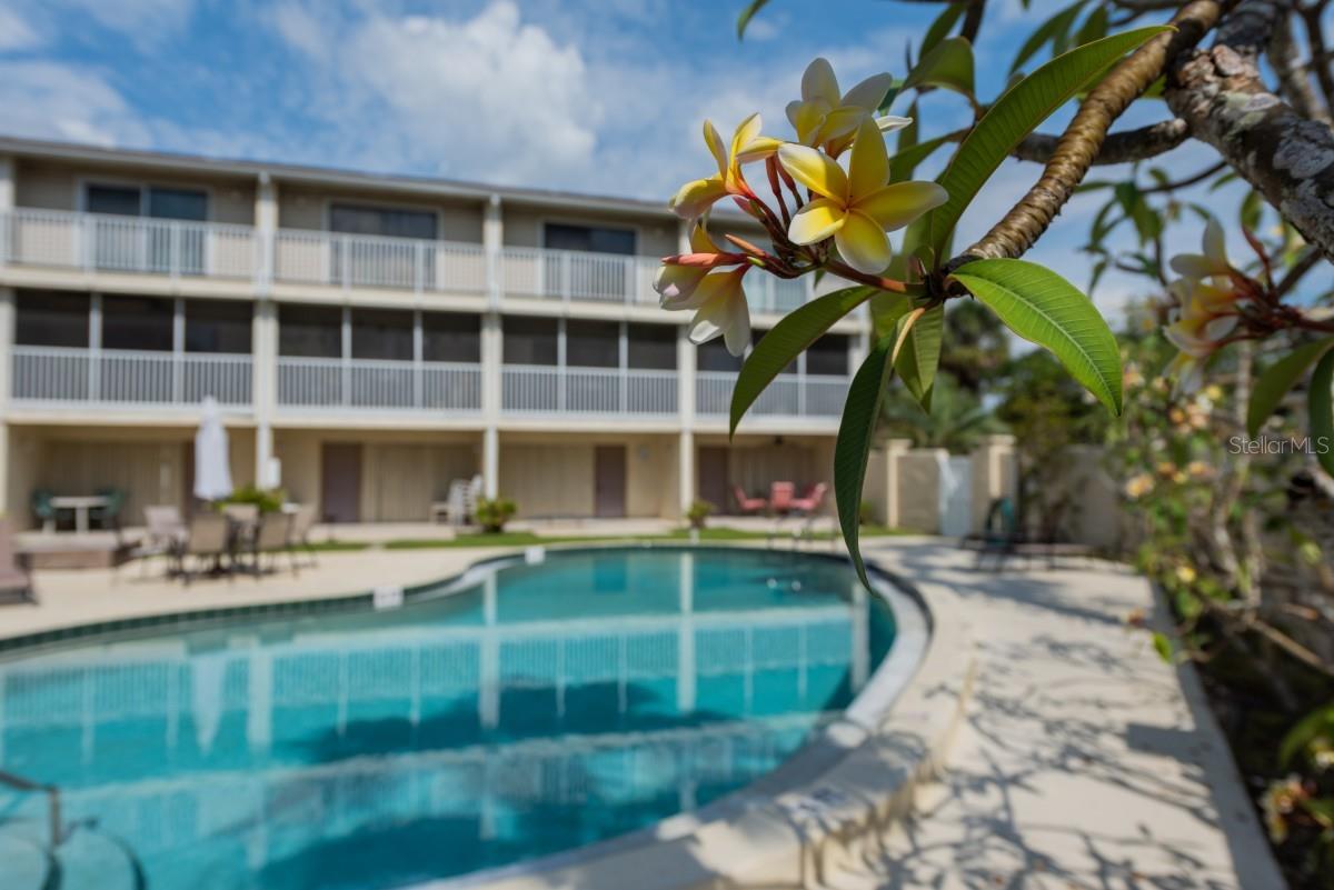 Image 23 of 29 For 4001 Gulf Drive 108