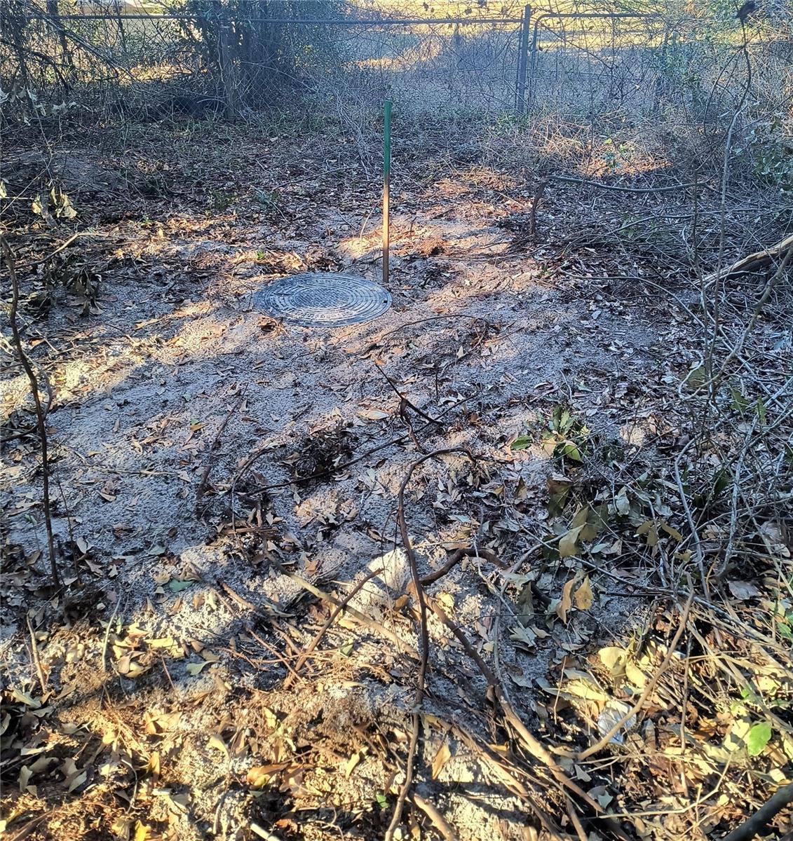 Image 11 of 19 For 1929 7th Place