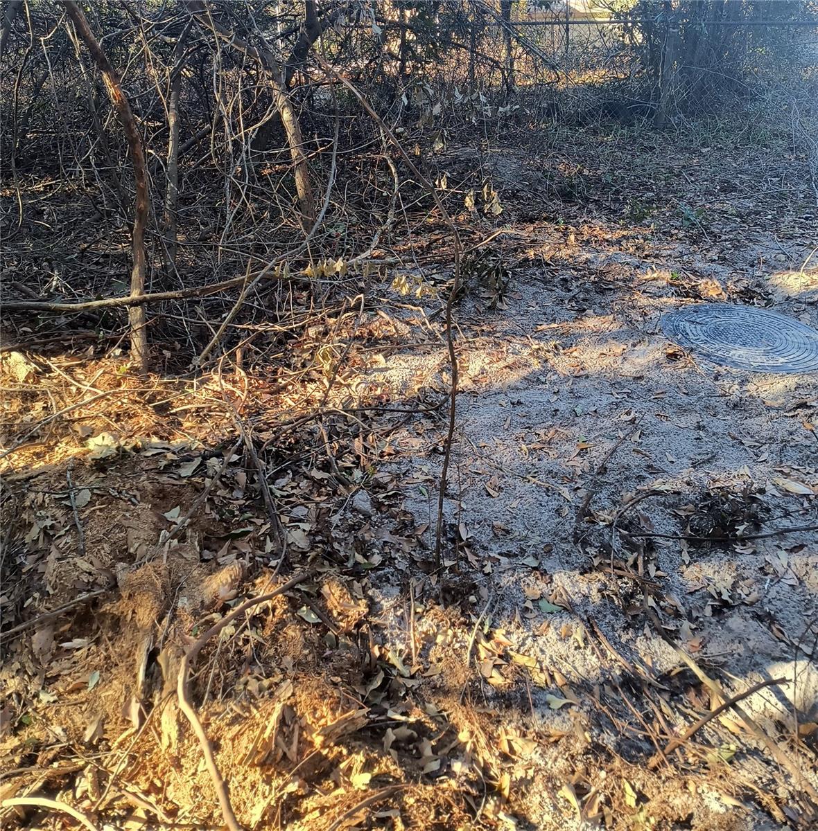 Image 12 of 19 For 1929 7th Place