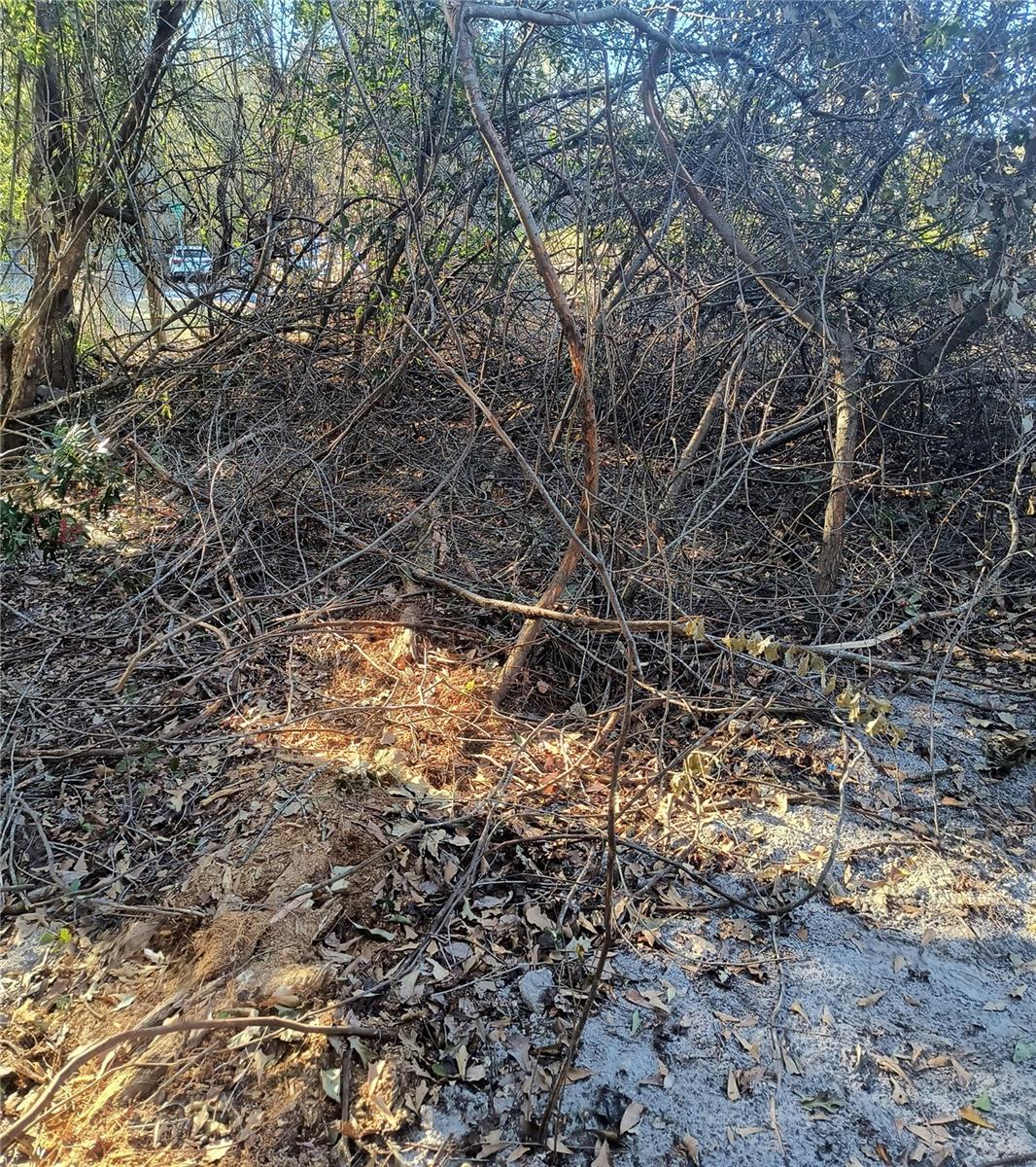 Image 13 of 19 For 1929 7th Place