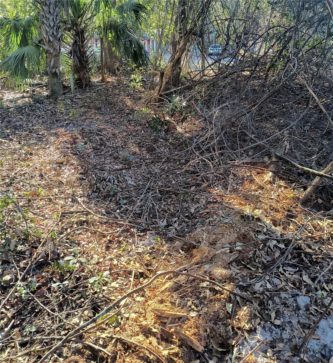 Image 14 of 19 For 1929 7th Place