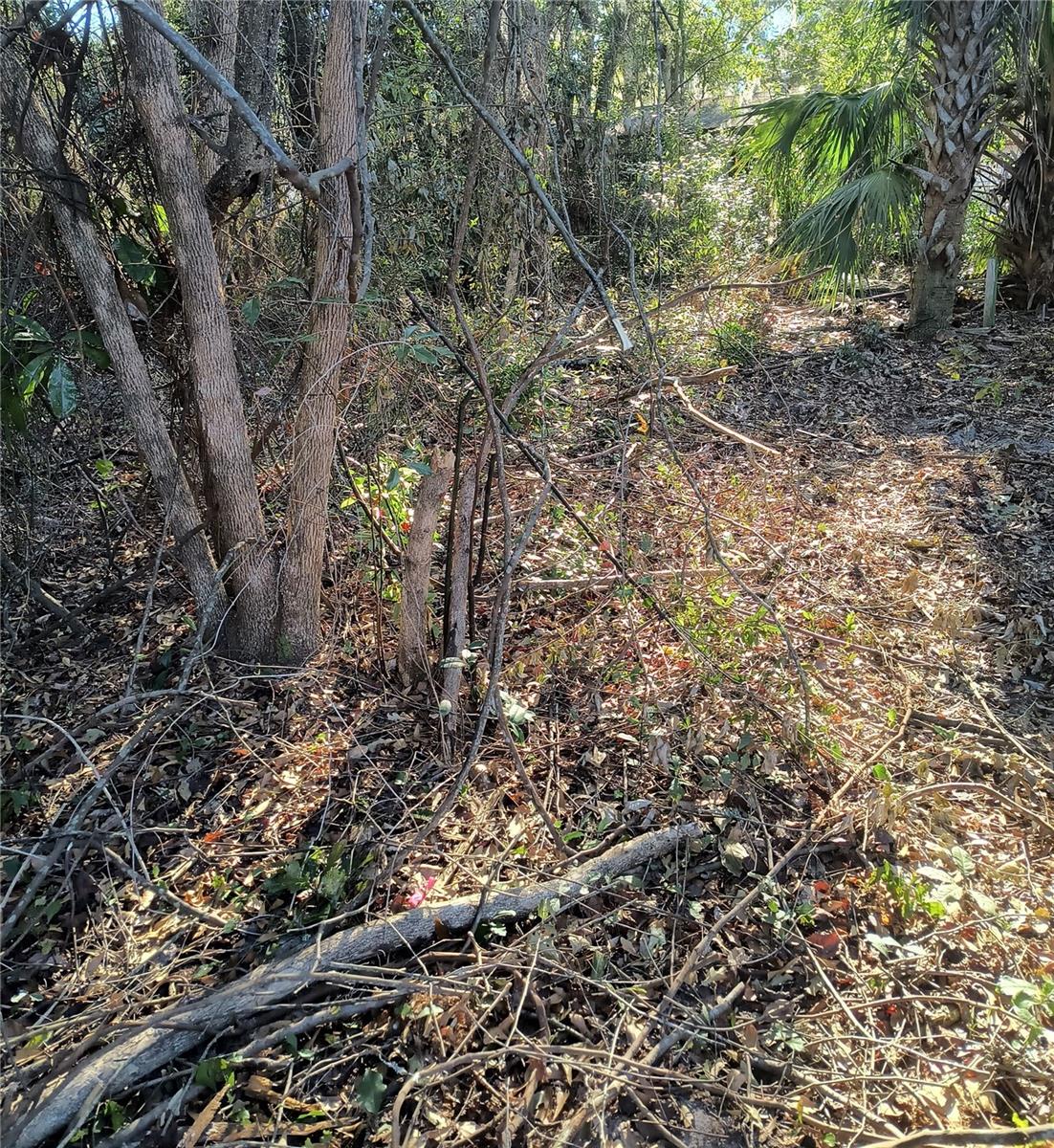 Image 15 of 19 For 1929 7th Place