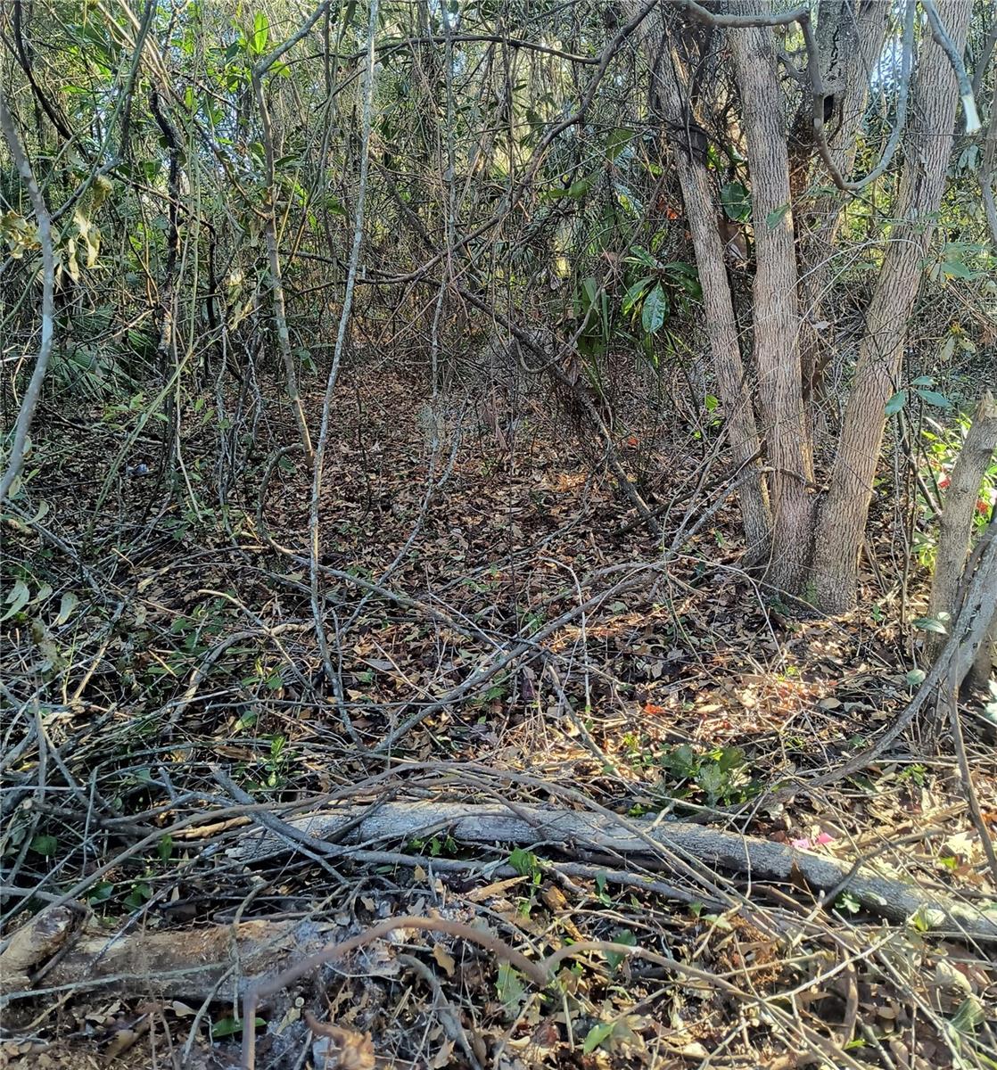 Image 16 of 19 For 1929 7th Place