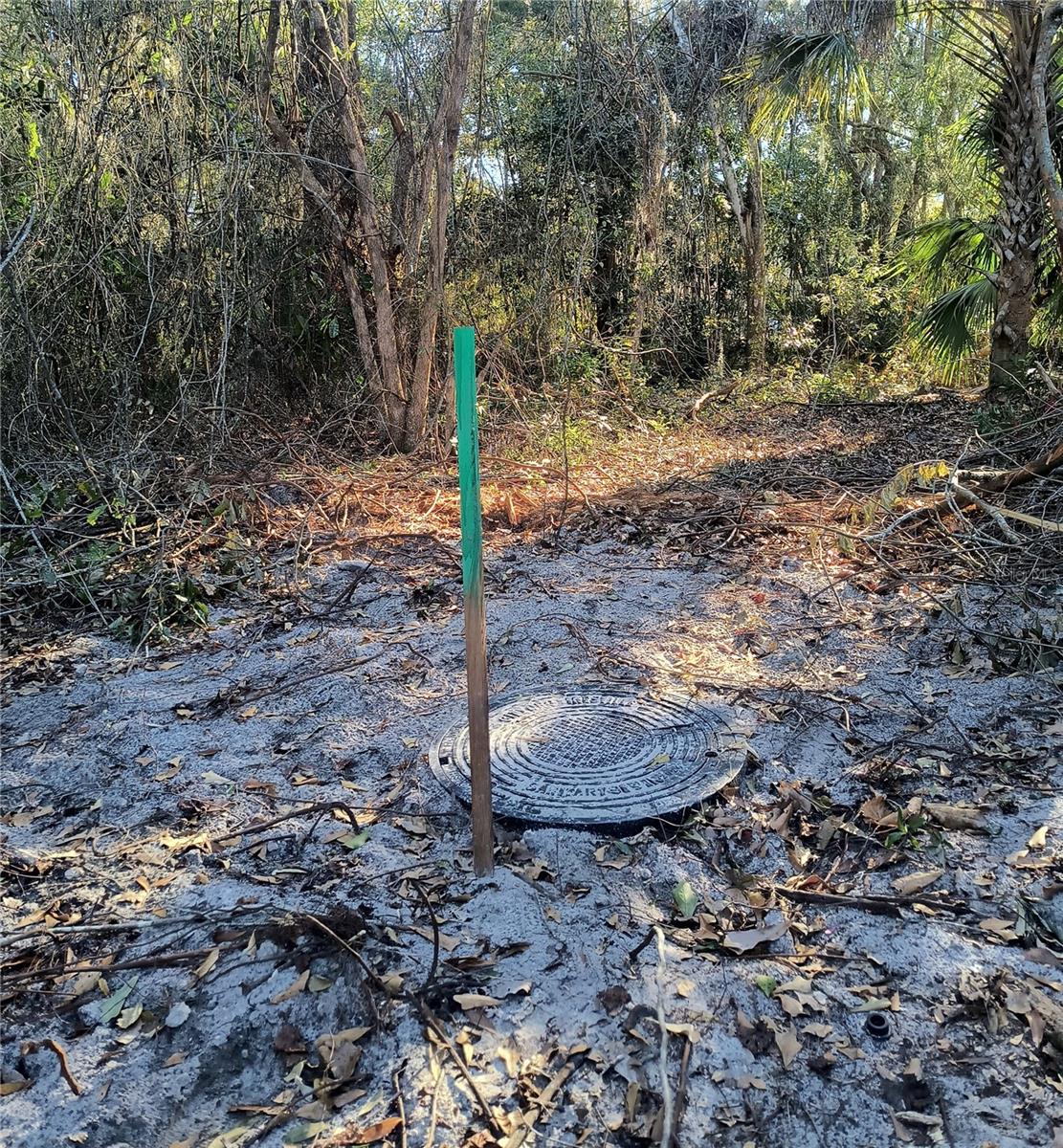 Image 18 of 19 For 1929 7th Place