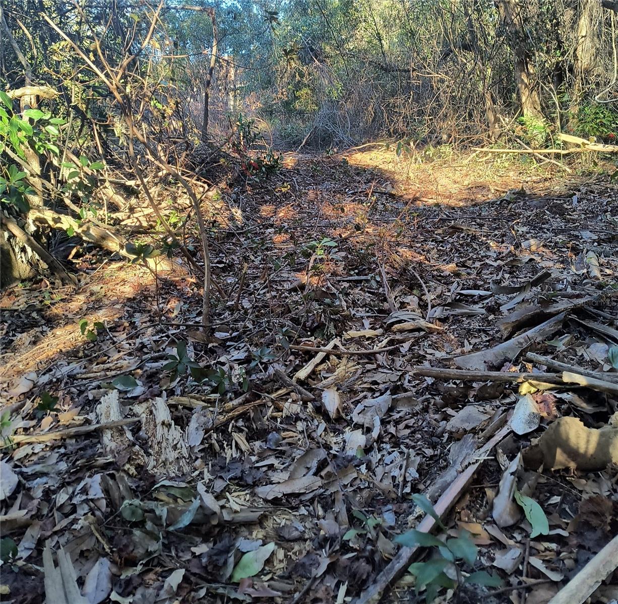 Image 19 of 19 For 1929 7th Place