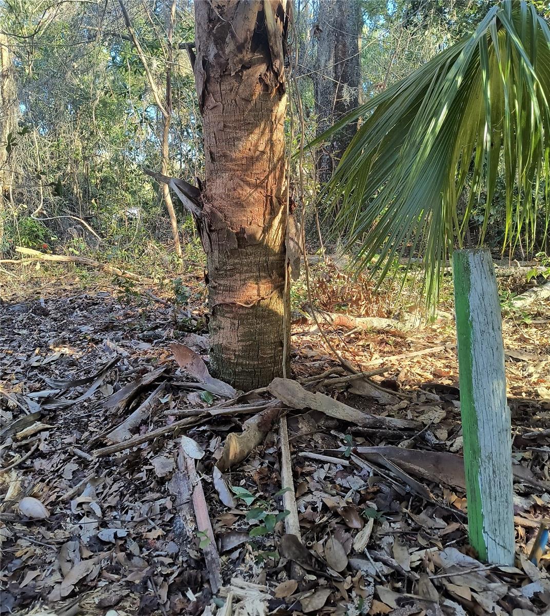 Image 7 of 19 For 1929 7th Place