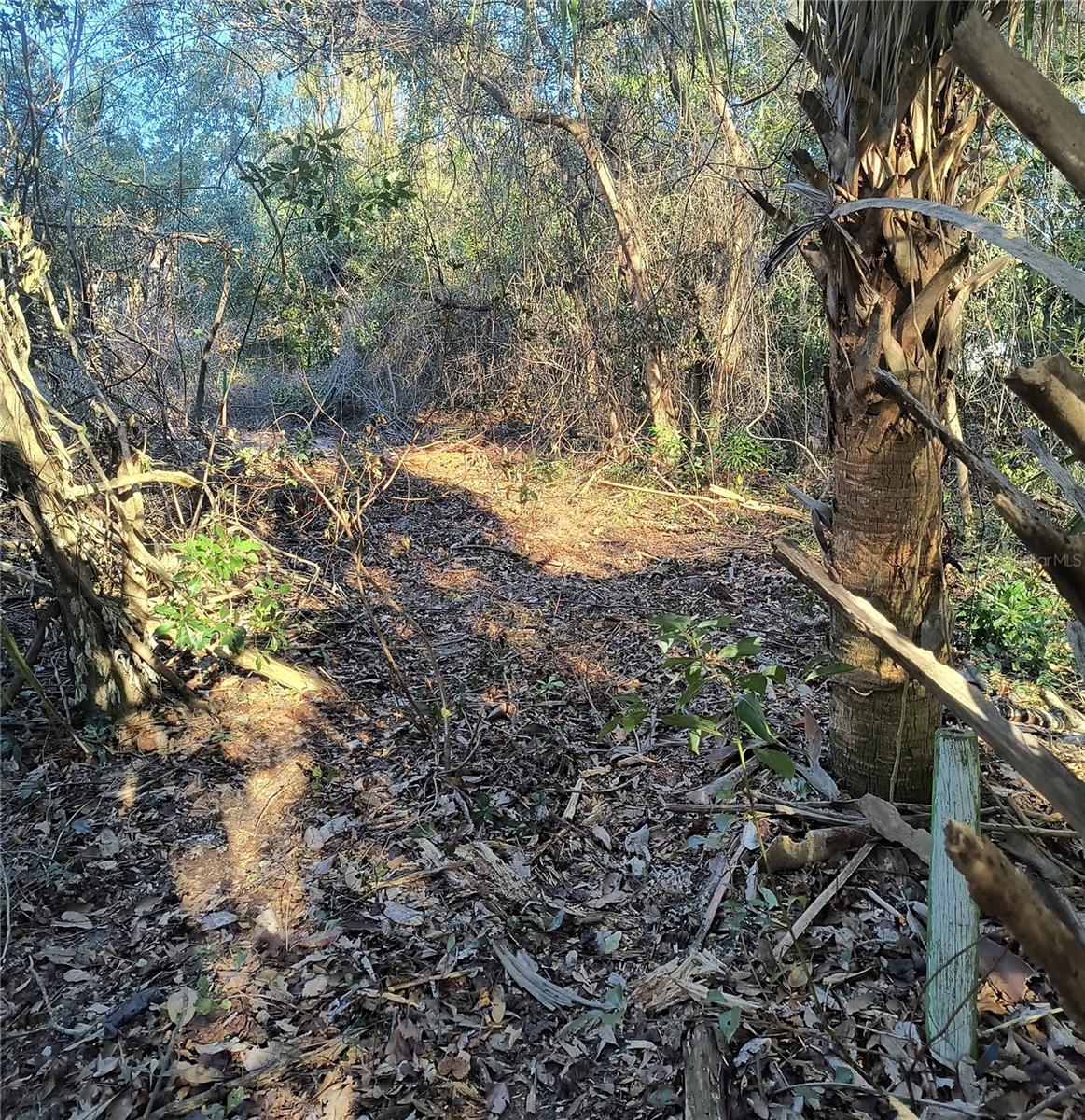 Image 8 of 19 For 1929 7th Place