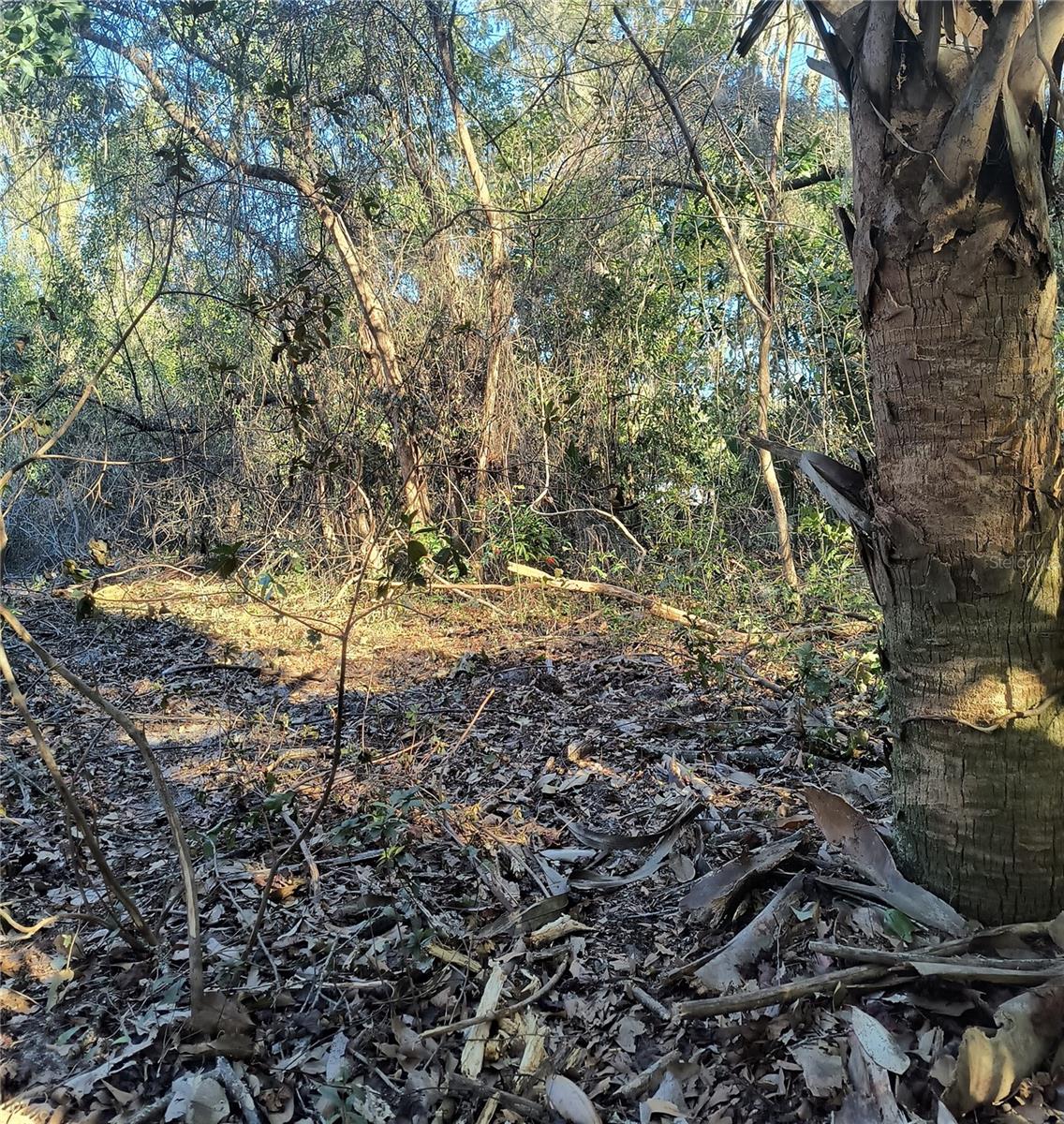 Image 9 of 19 For 1929 7th Place