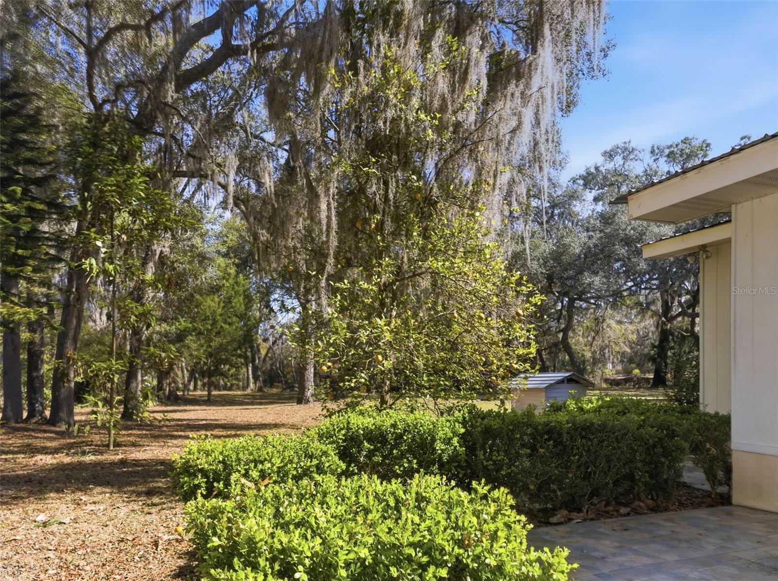 Image 34 of 47 For 6930 County Road 214