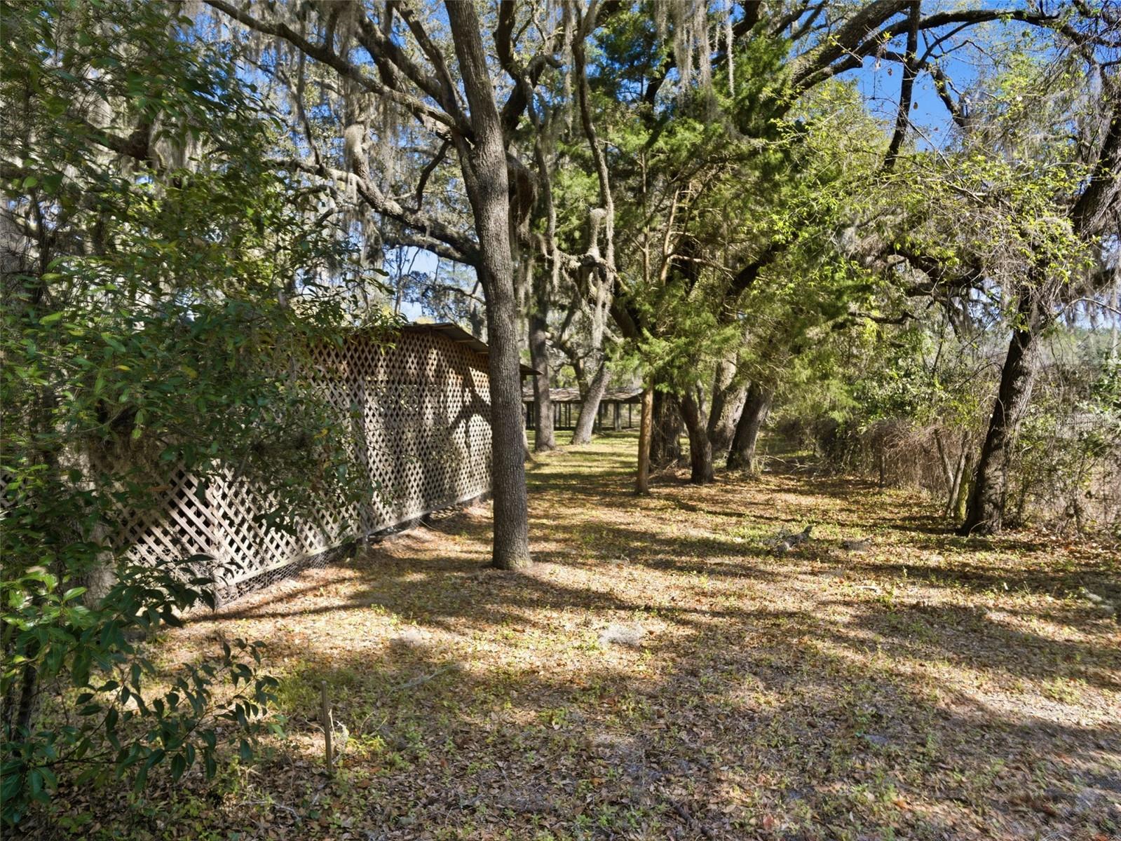 Image 41 of 47 For 6930 County Road 214