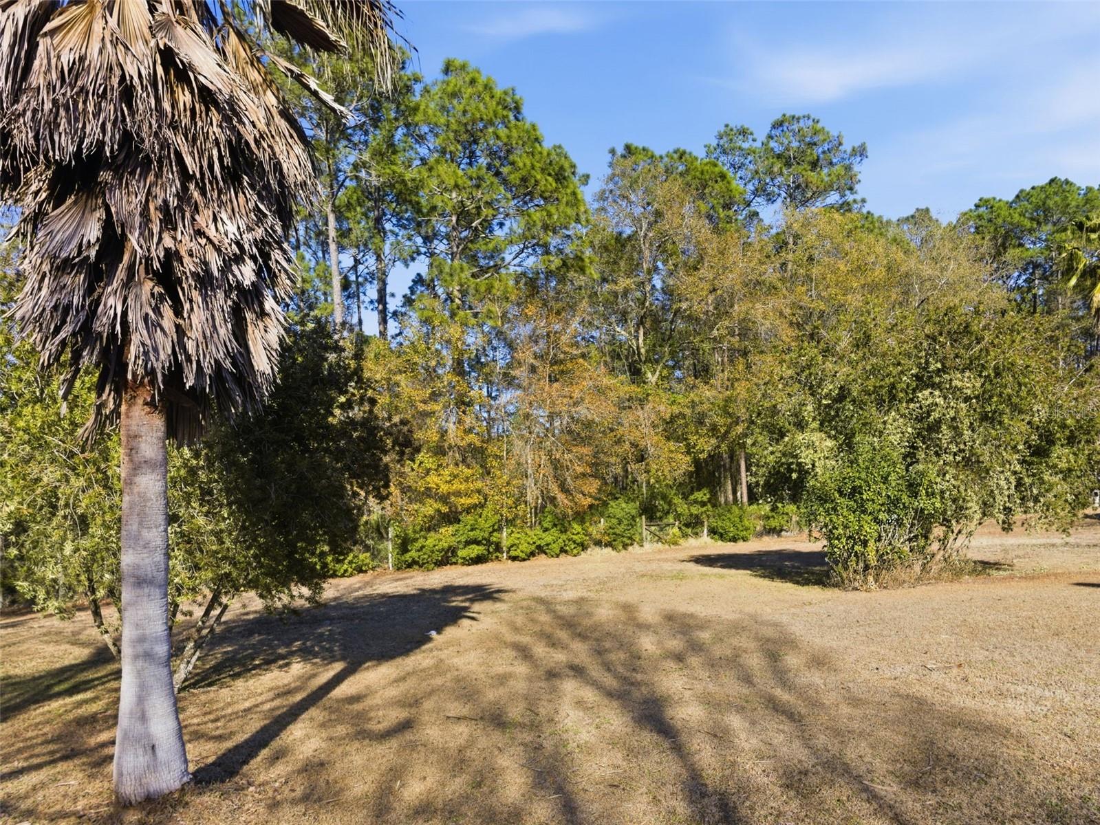 Image 34 of 40 For 100 Camp Road