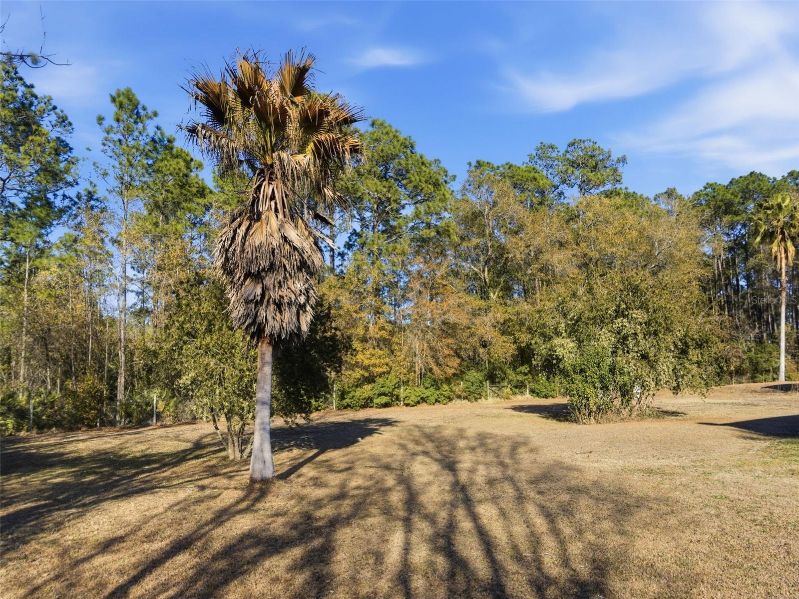 Image 35 of 40 For 100 Camp Road