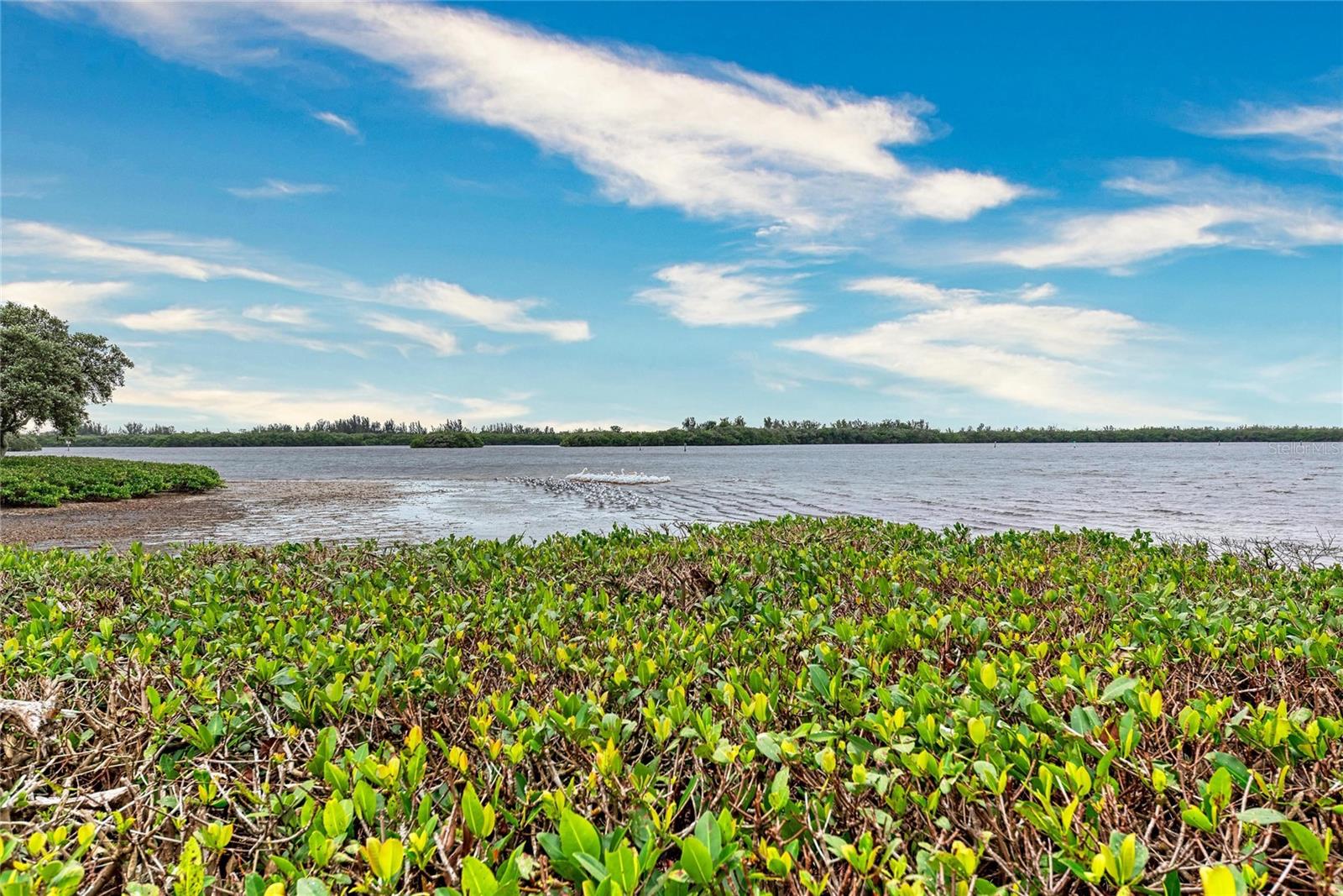 Image 54 of 61 For 9417 Kingston Drive 9417