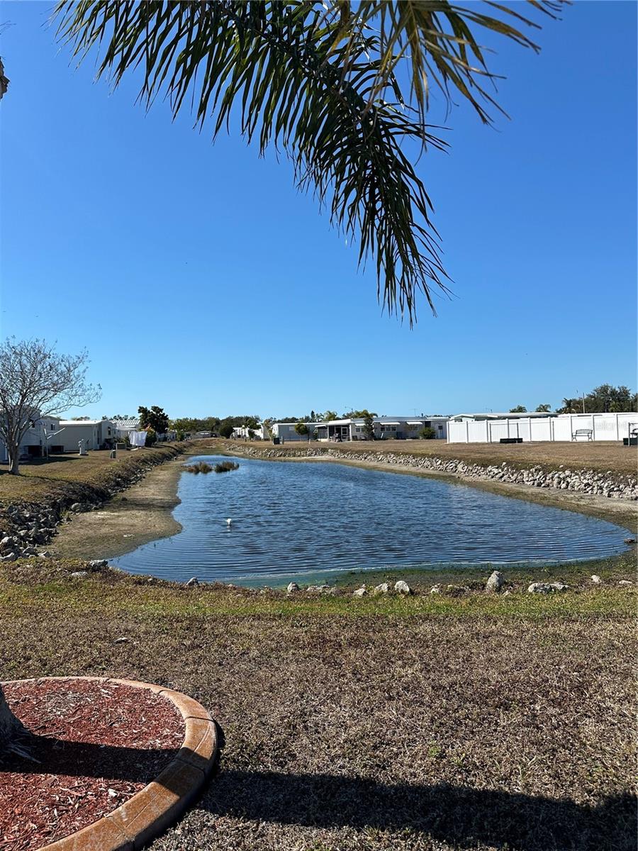 Image 44 of 61 For 5619 Bayshore Road 328