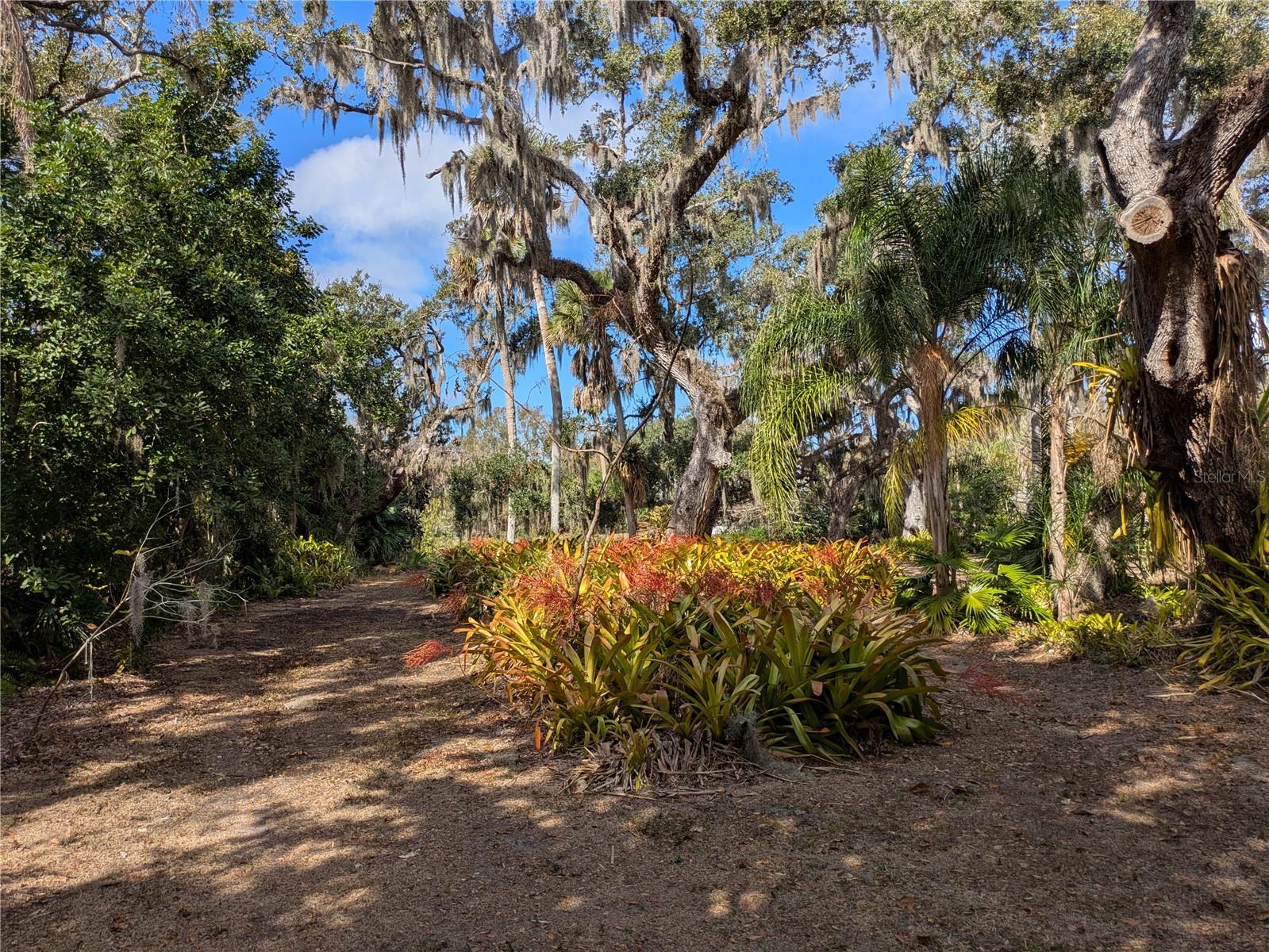 Image 38 of 49 For 4554 Cooper Road