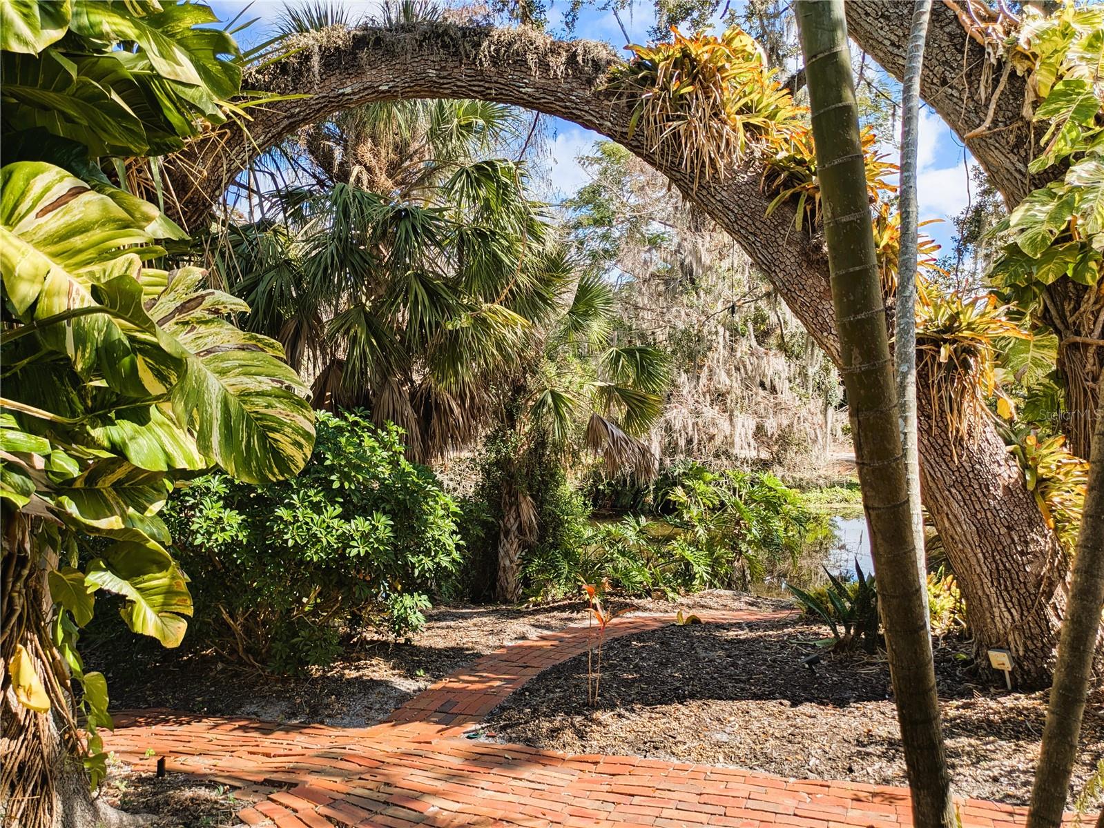 Image 41 of 49 For 4554 Cooper Road