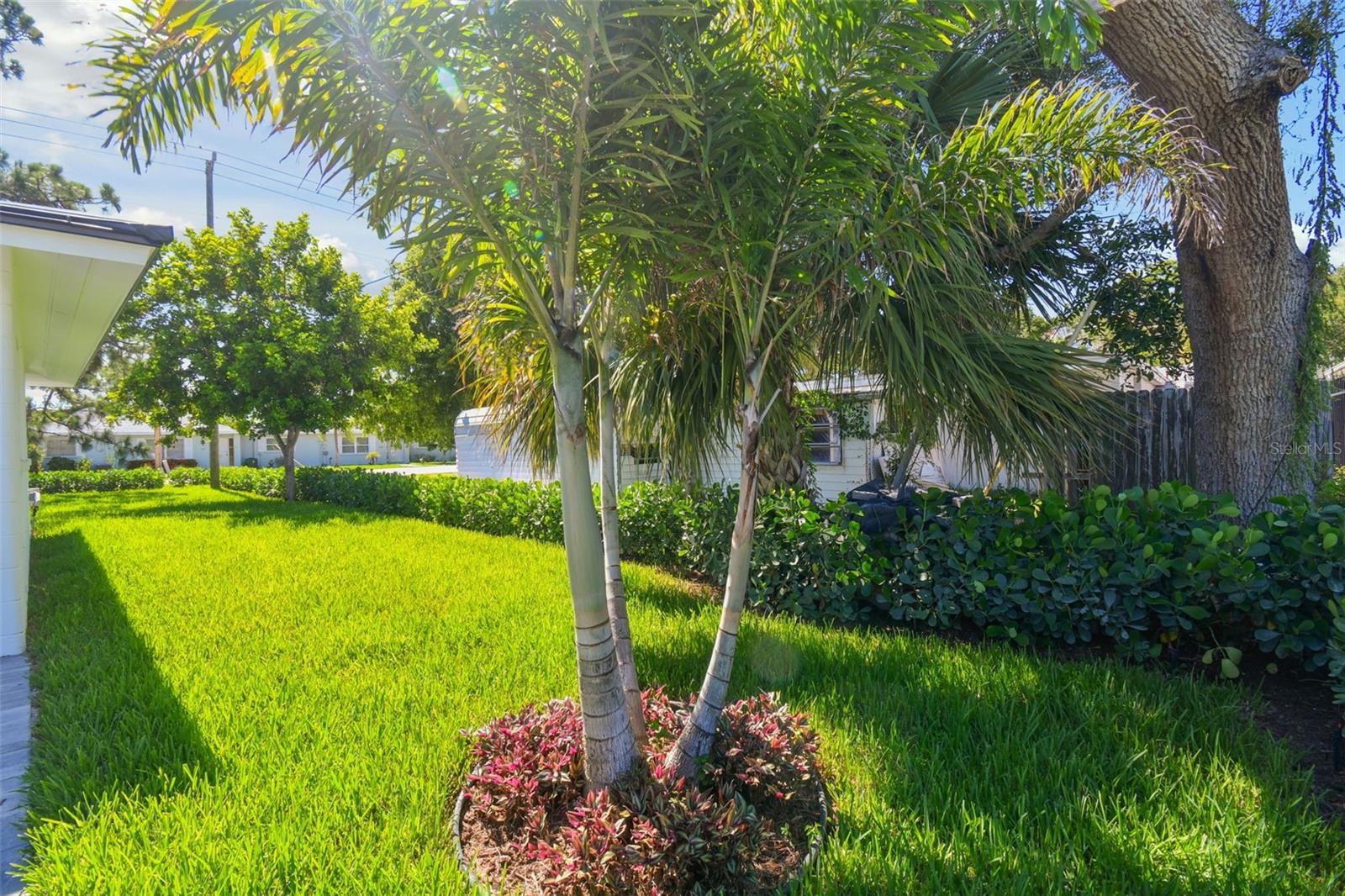 Image 7 of 54 For 301 Aurora Street E