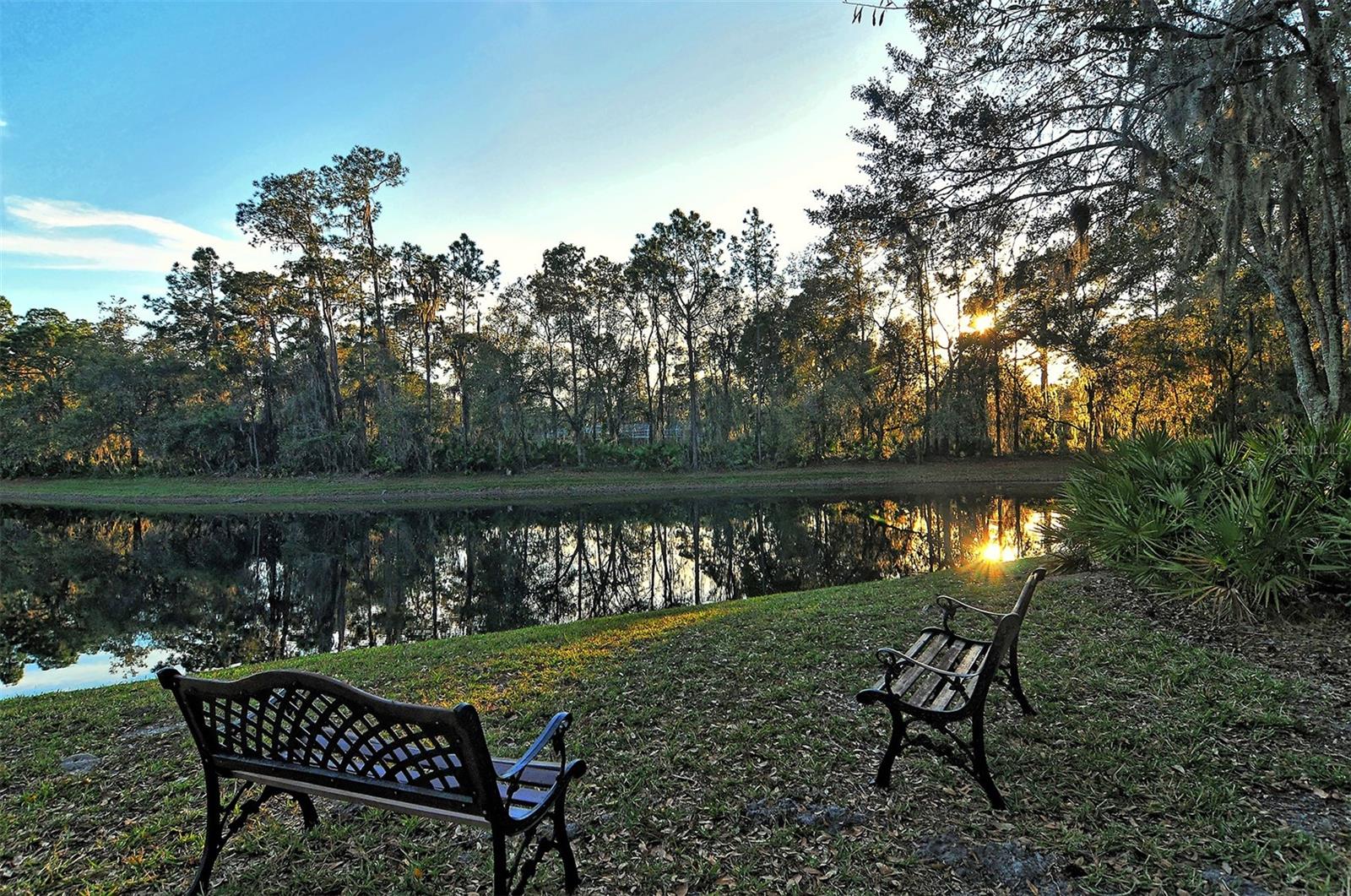 Image 55 of 56 For 7547 Silver Fern Boulevard 54