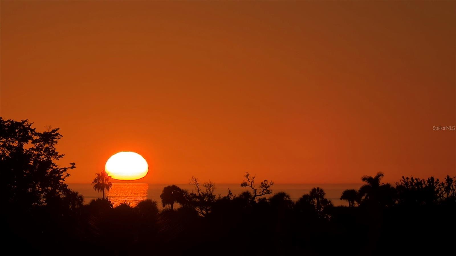 Listing photo id 30 for 2450 Harbourside Drive 234