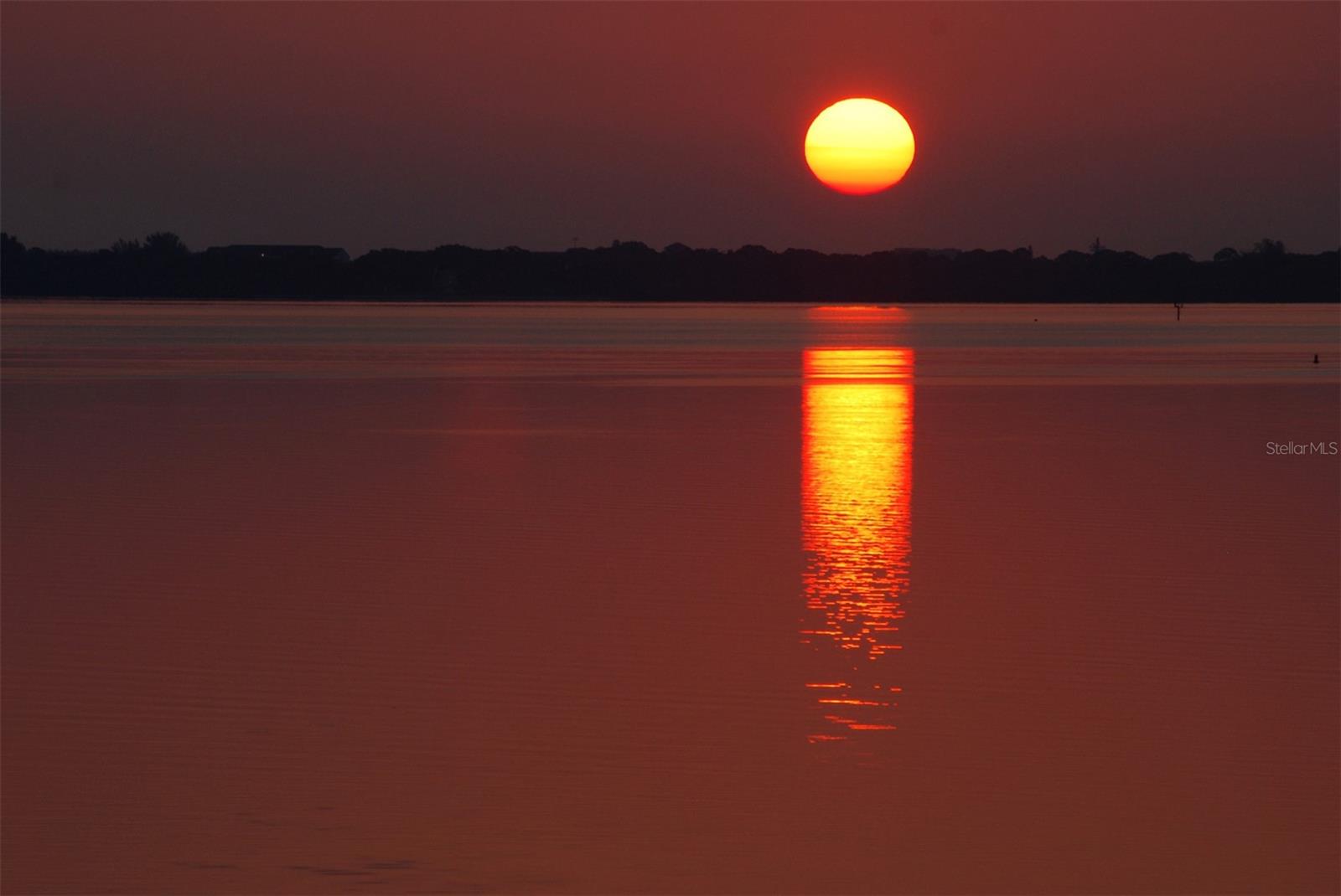 Listing photo id 45 for 2450 Harbourside Drive 234