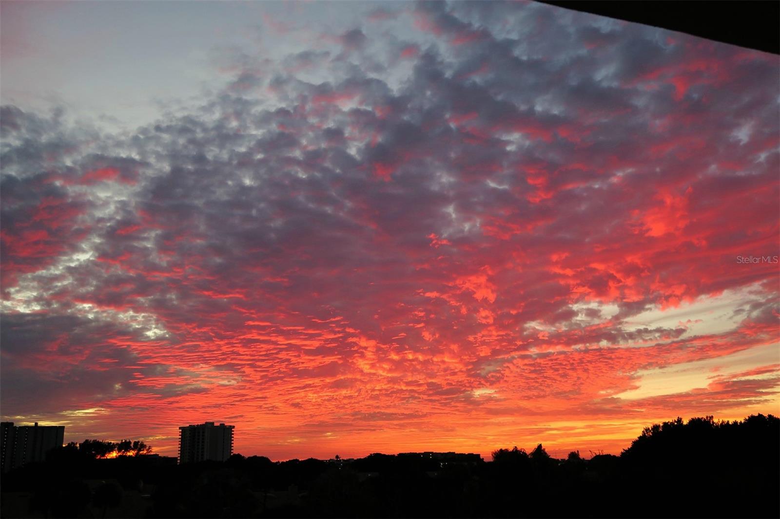 Listing photo id 46 for 2450 Harbourside Drive 234