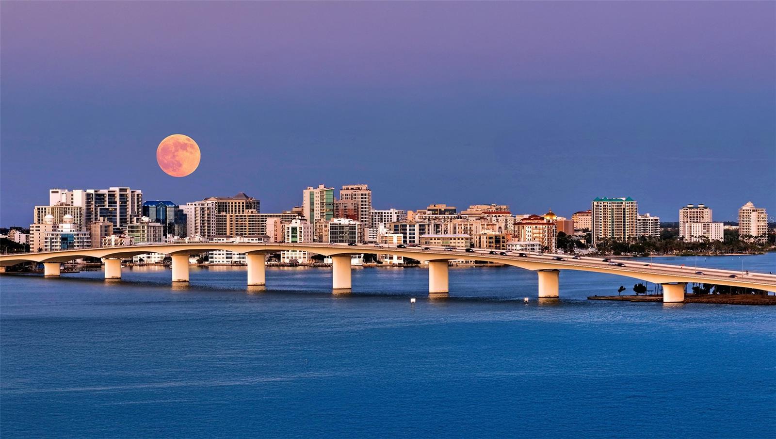 Listing photo id 47 for 2450 Harbourside Drive 234