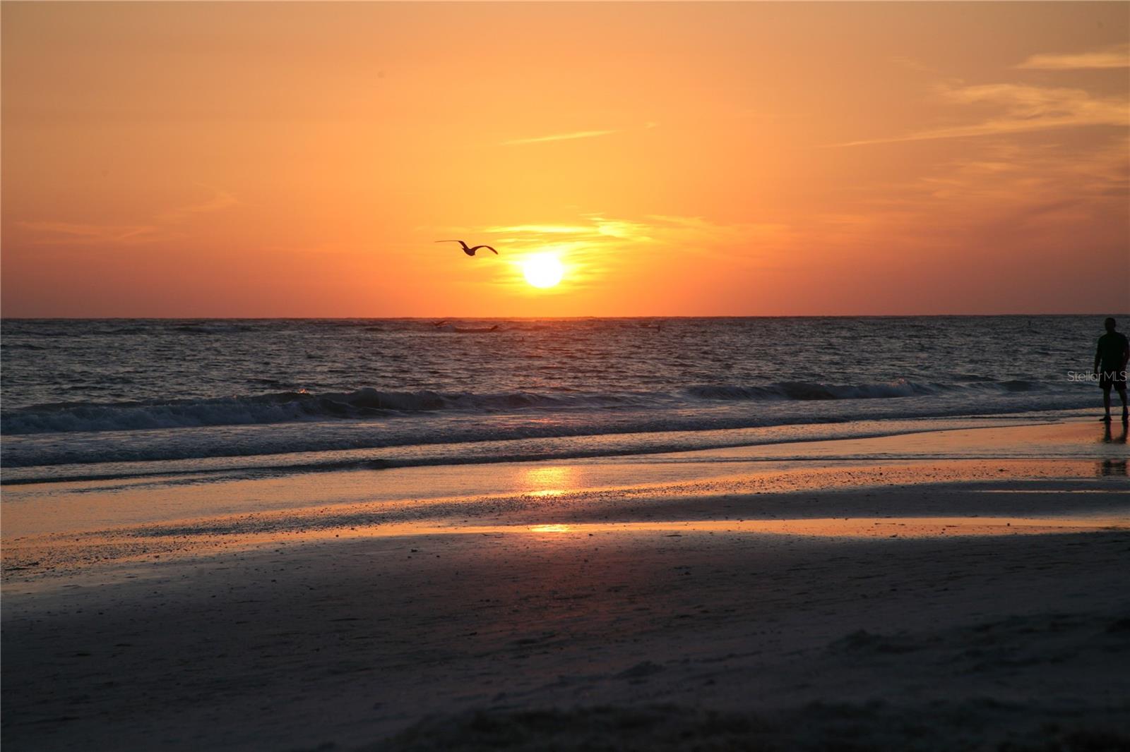 Image 4 of 46 For 116 Avenida La Palma