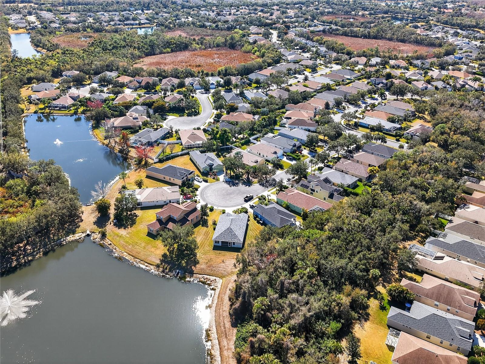 Image 41 of 55 For 8124 Tabbystone Place