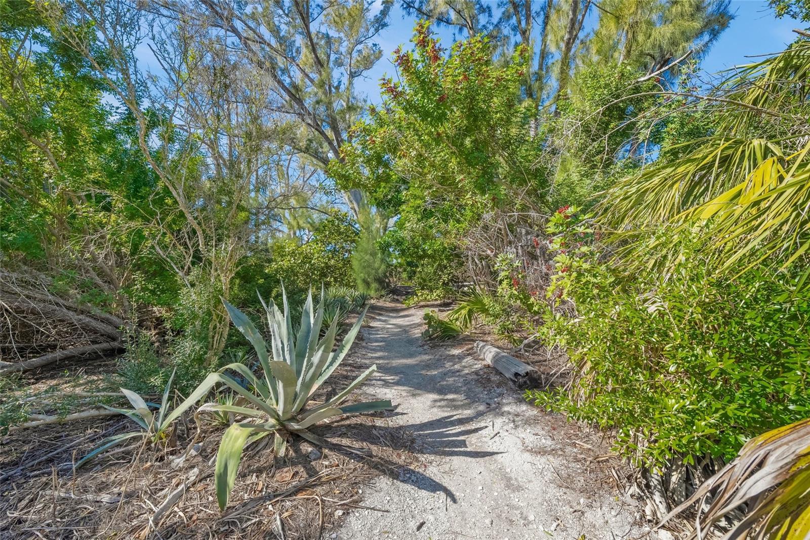 Image 40 of 85 For 8560 Heron Lagoon Circle