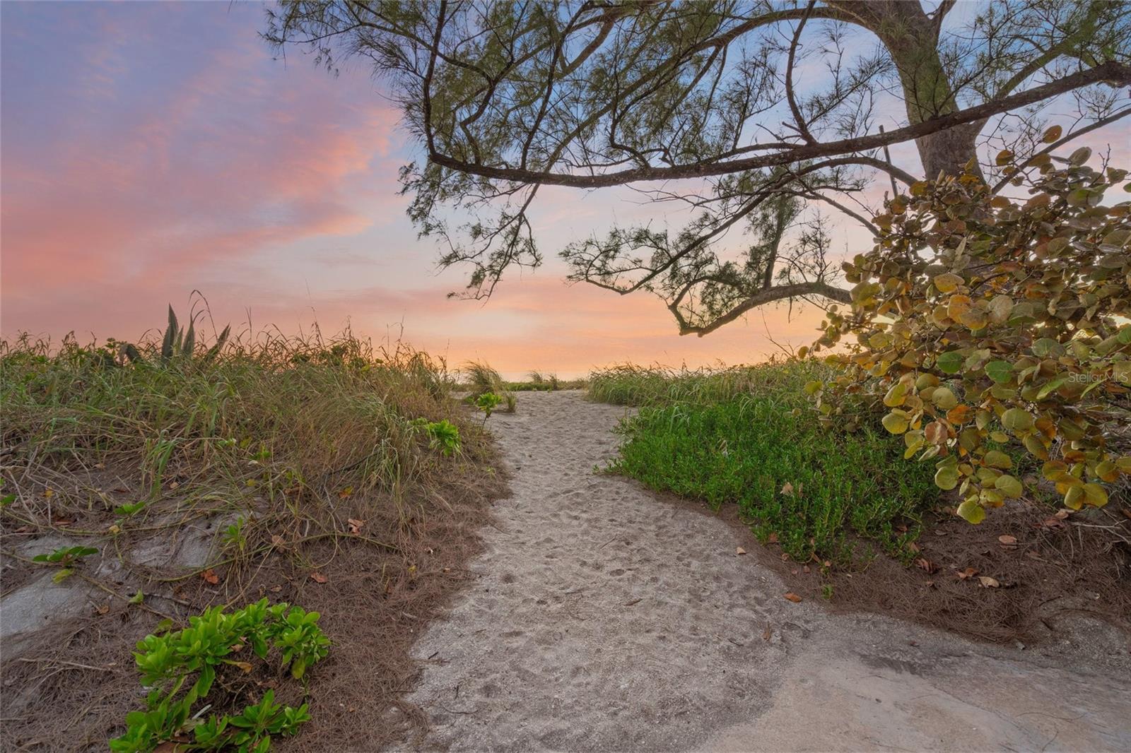 Image 66 of 85 For 8560 Heron Lagoon Circle