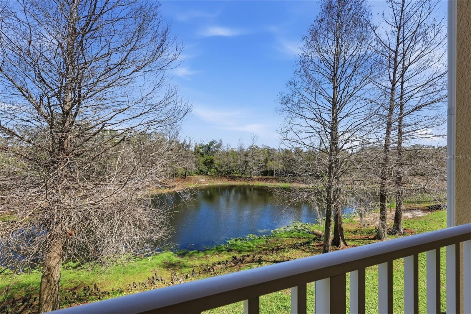 Image 35 of 52 For 9038 White Sage Loop