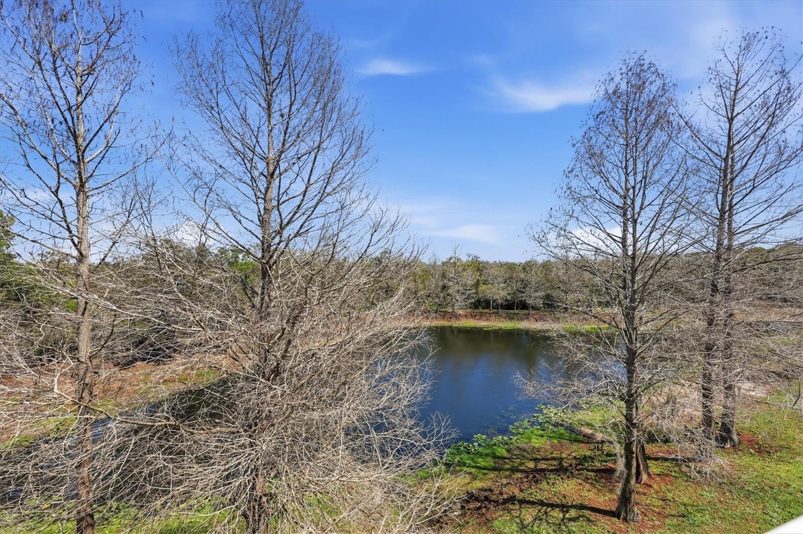 Image 39 of 52 For 9038 White Sage Loop