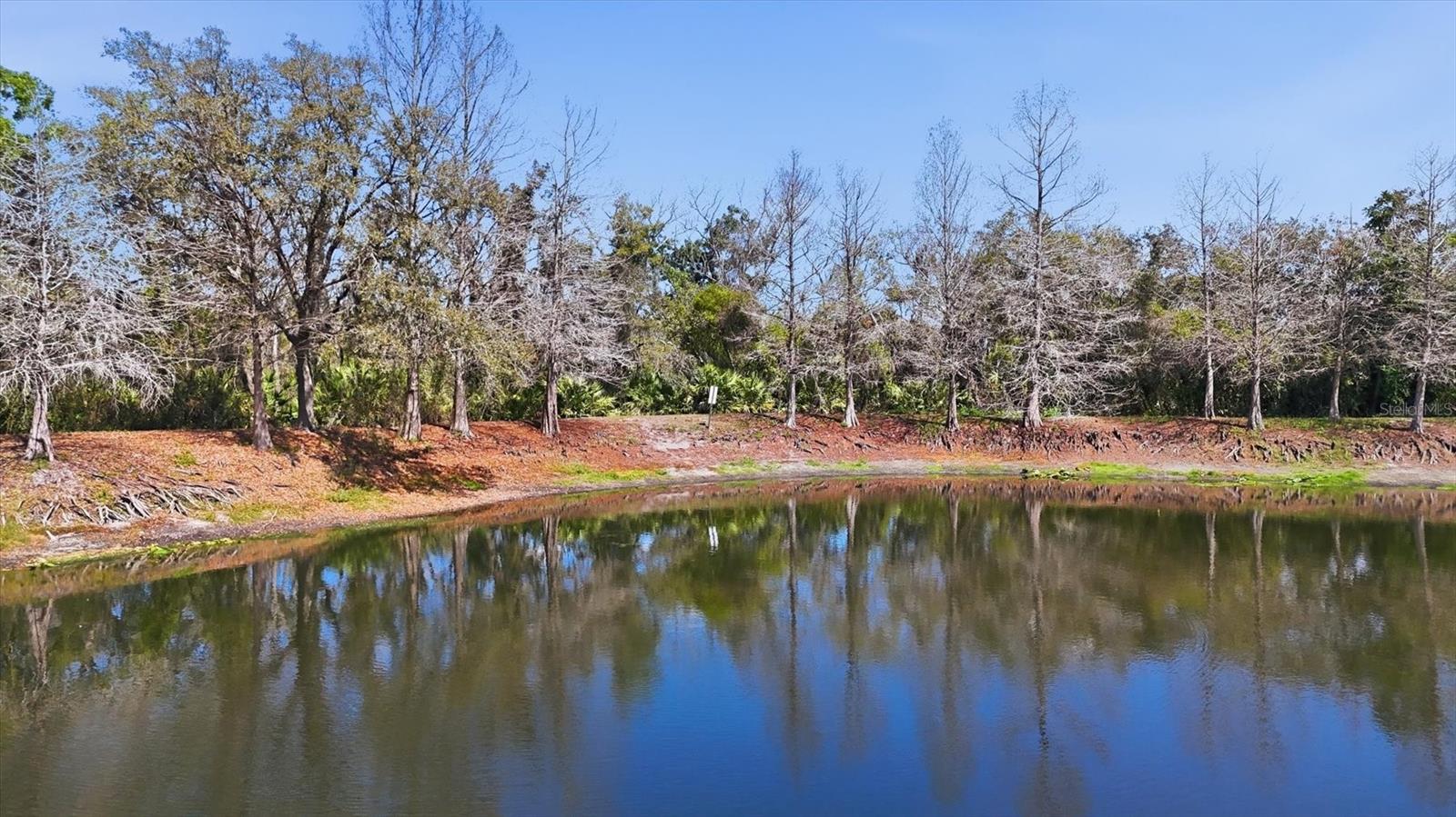 Image 40 of 52 For 9038 White Sage Loop