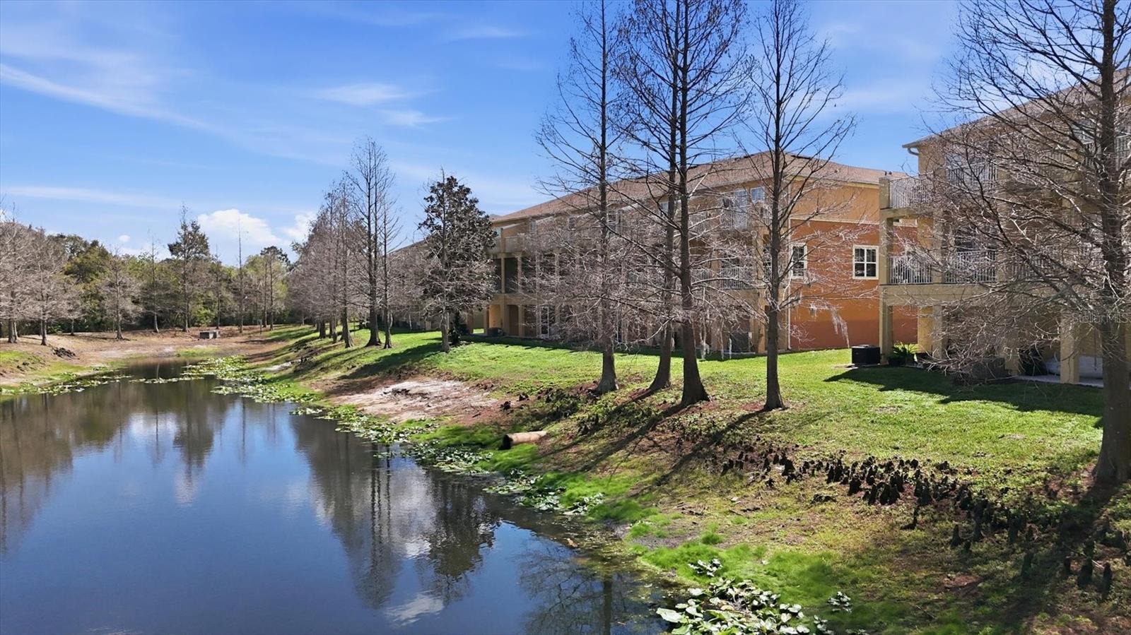 Image 41 of 52 For 9038 White Sage Loop