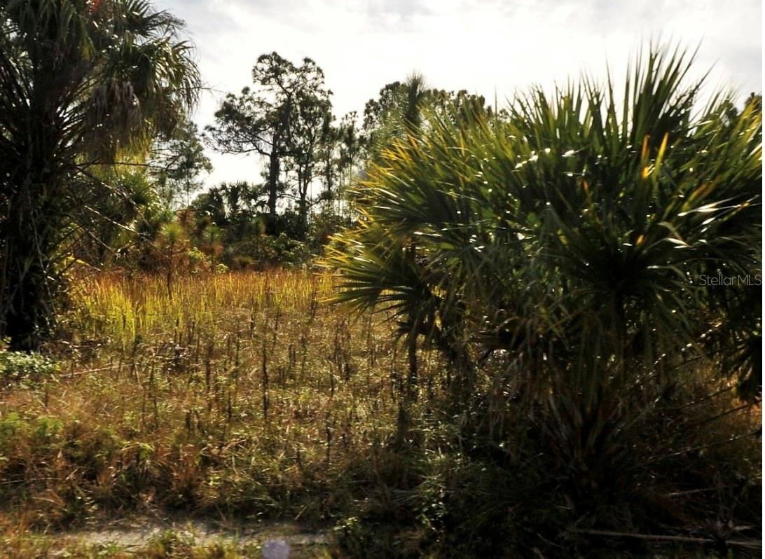 Listing Details for Dalewood Circle, NORTH PORT, FL 34288