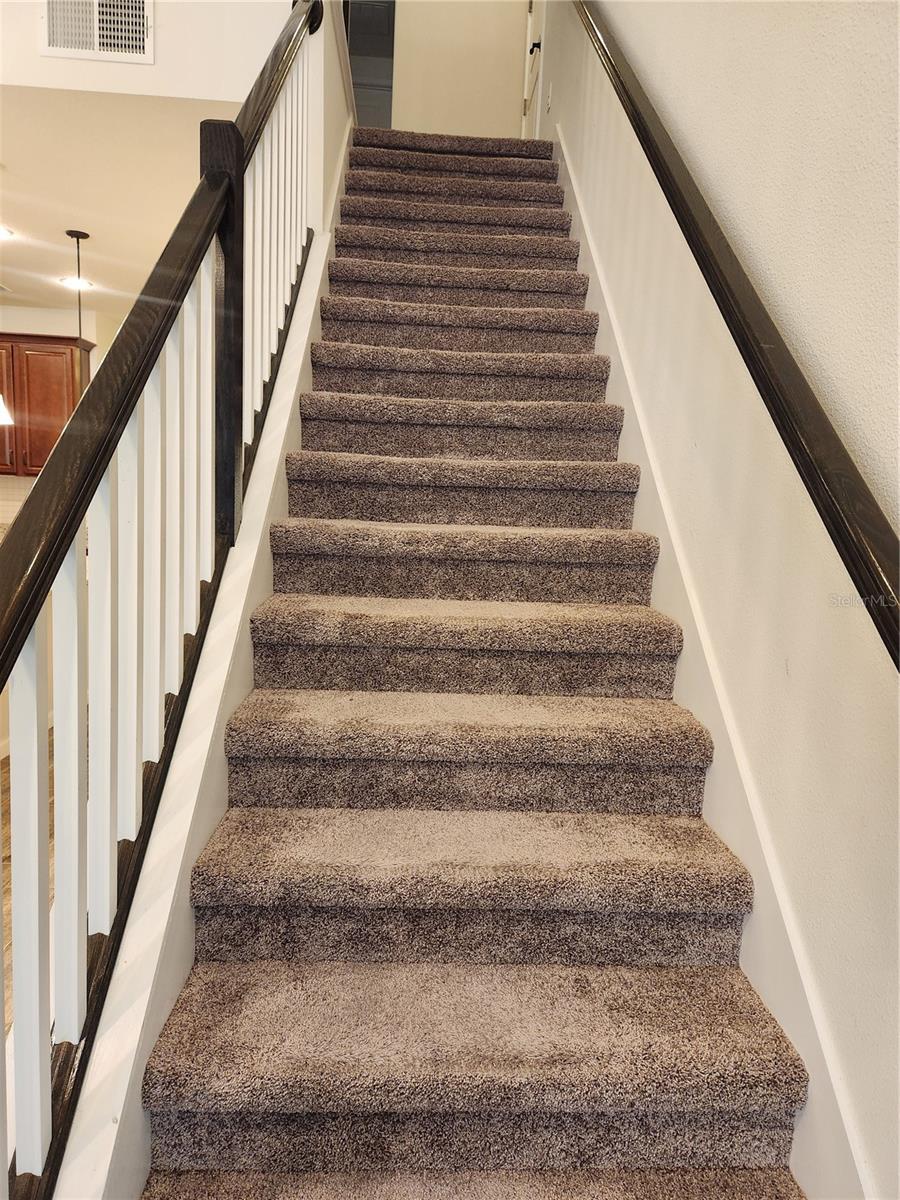 Image 23 of 38 For 3668 Fescue Lane