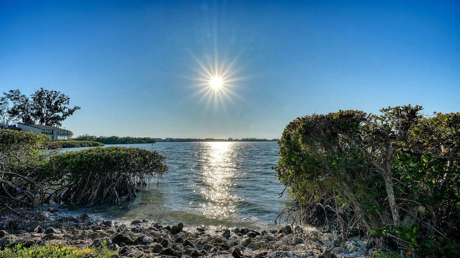 Image 20 of 56 For 1507 Clower Creek Drive Ha166