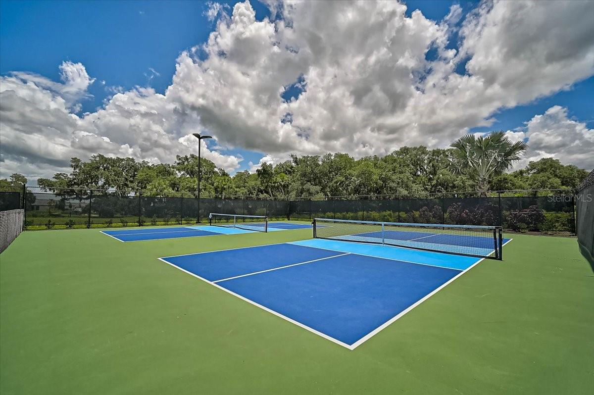 Image 51 of 73 For 7782 Waning Moon Way