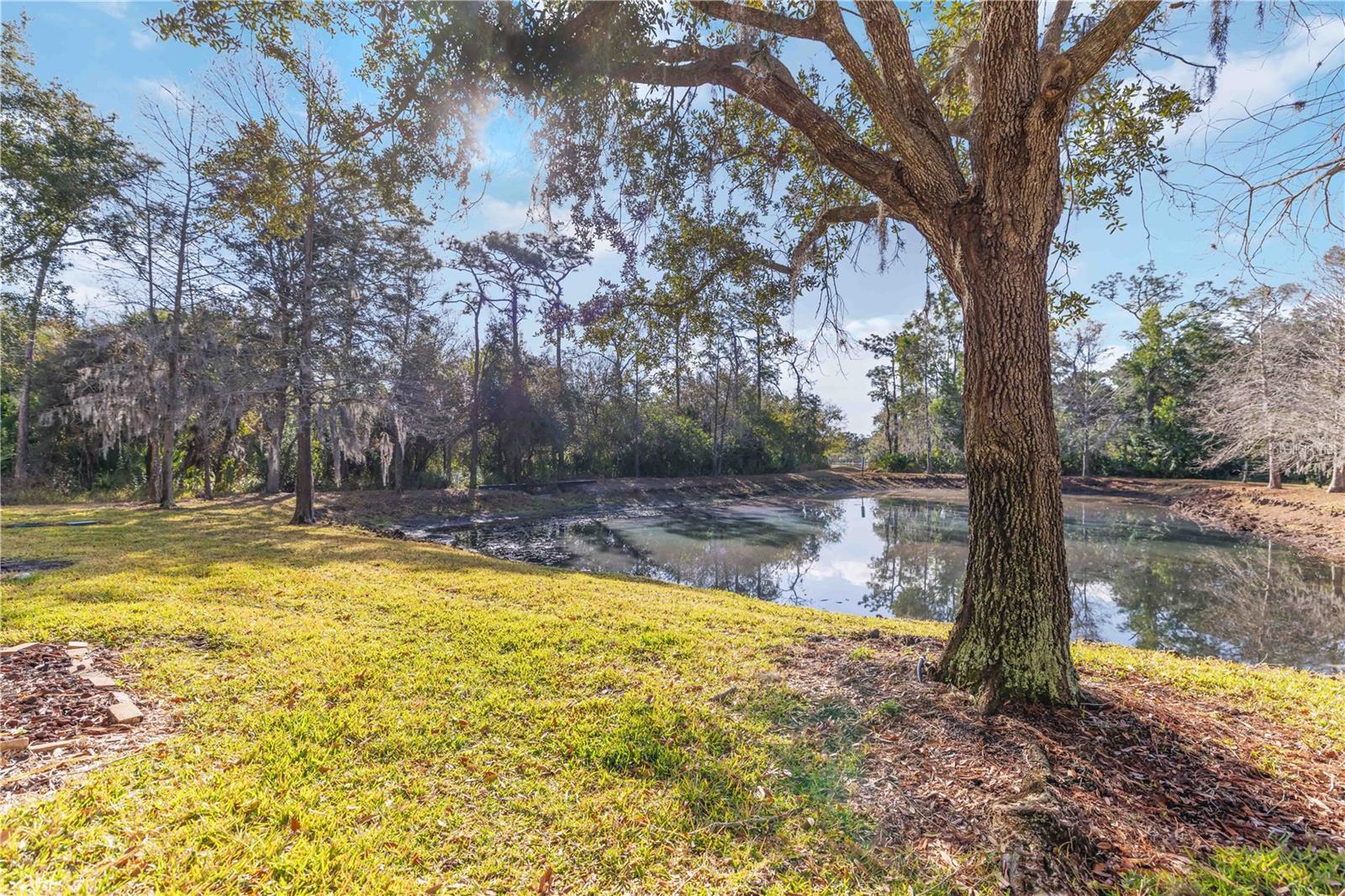 Image 35 of 35 For 8614 Majestic Elm Court