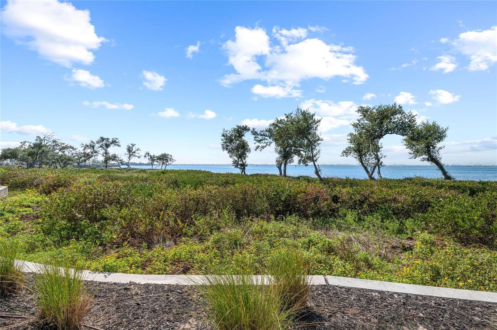 Image 7 of 100 For 268 Saint Lucia Drive 101