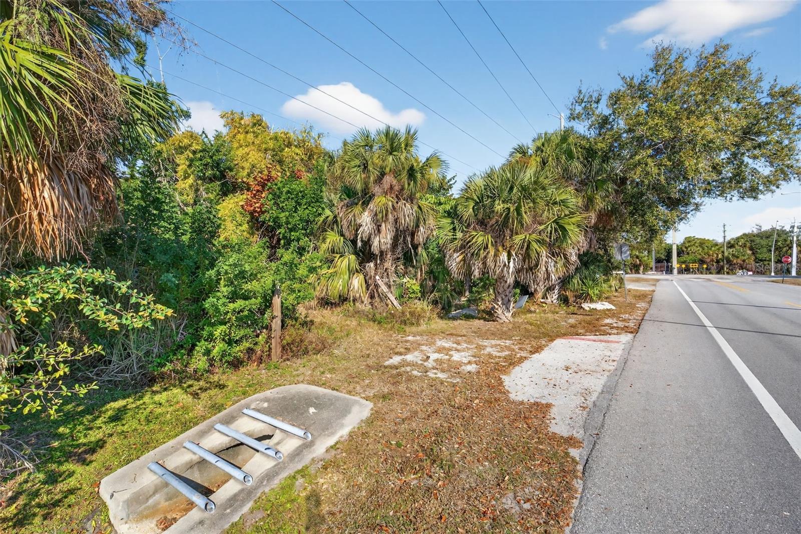 Image 5 of 20 For 14 Old Venice Road