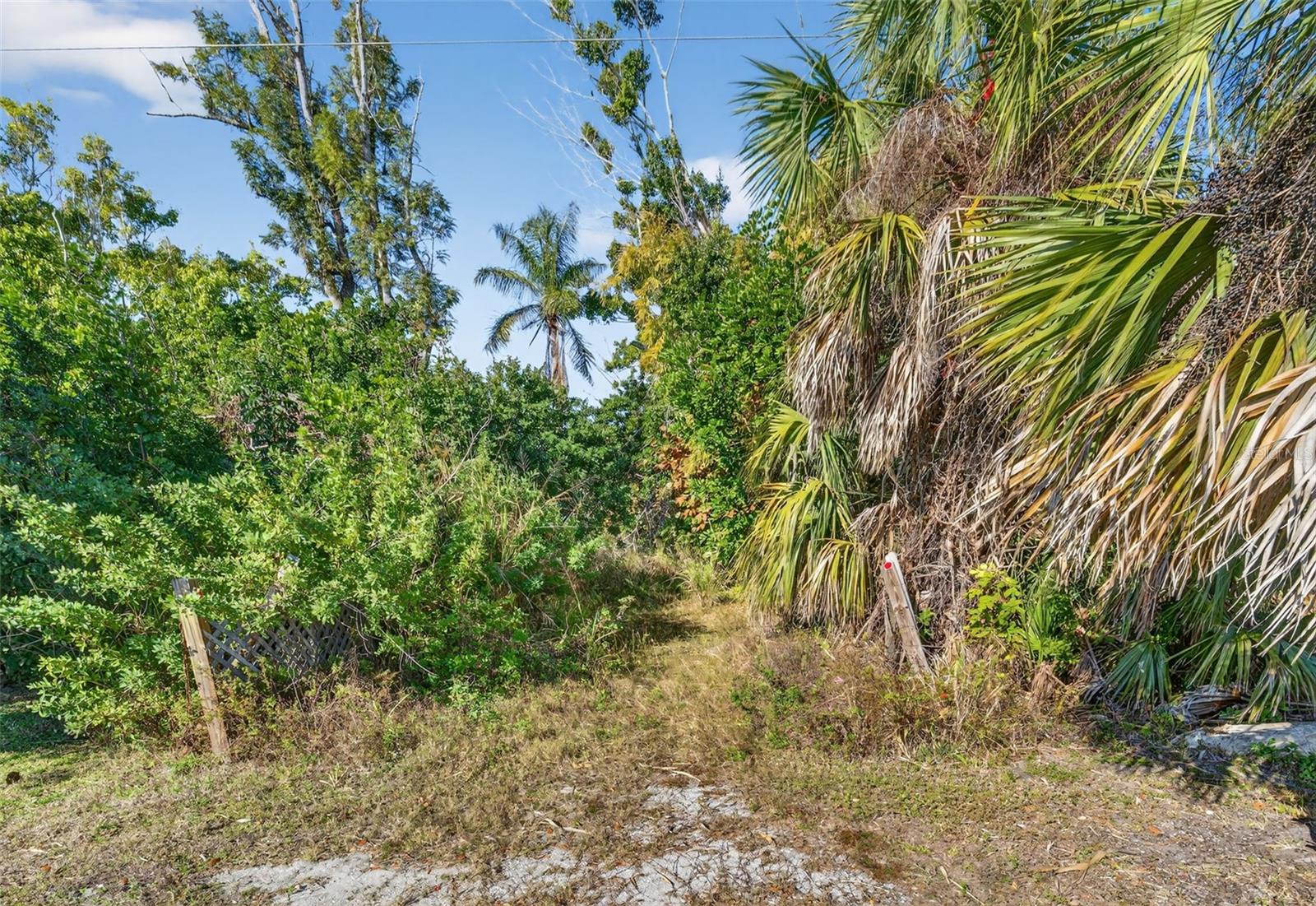 Image 6 of 20 For 14 Old Venice Road