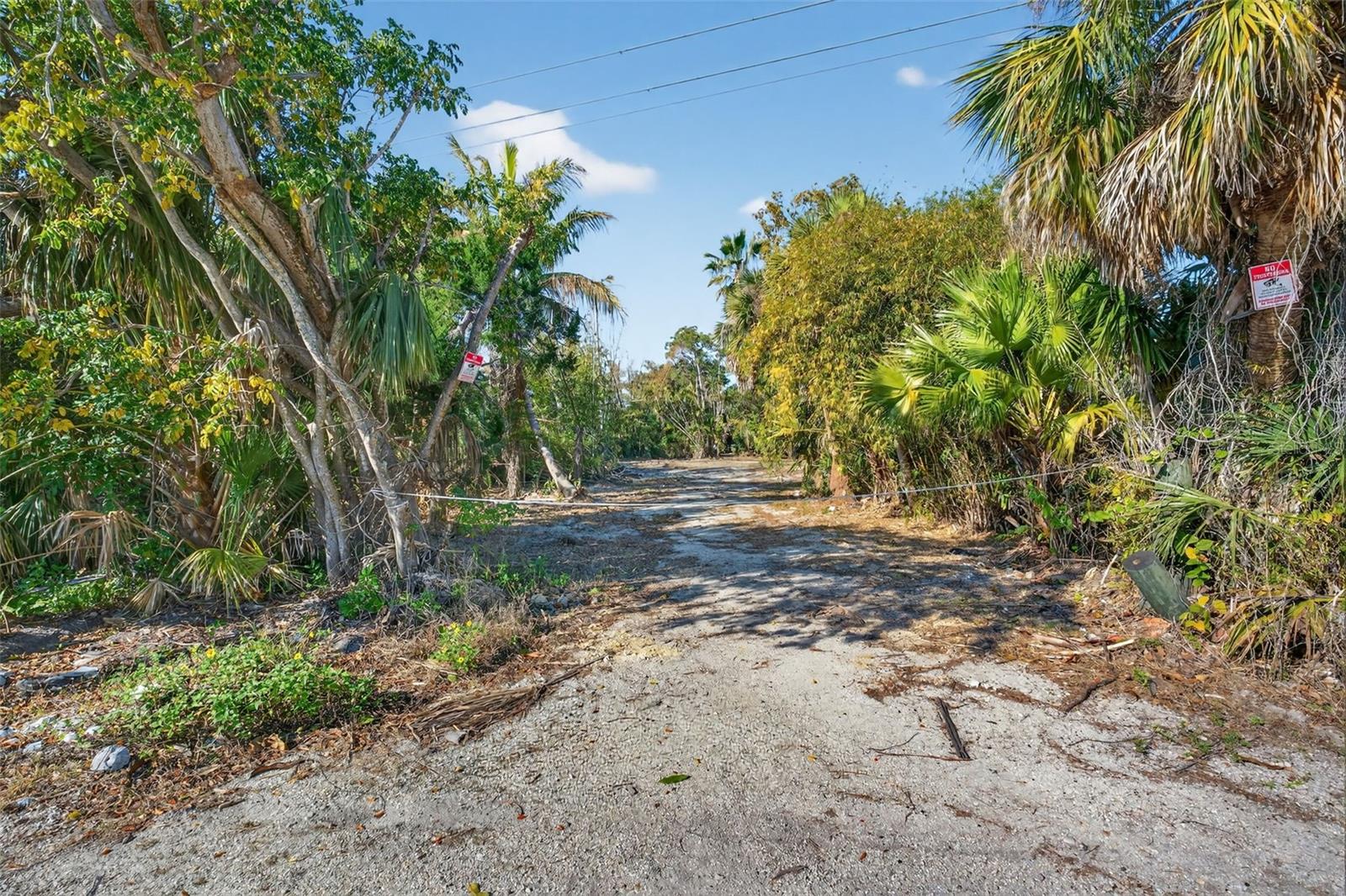 Image 7 of 20 For 14 Old Venice Road