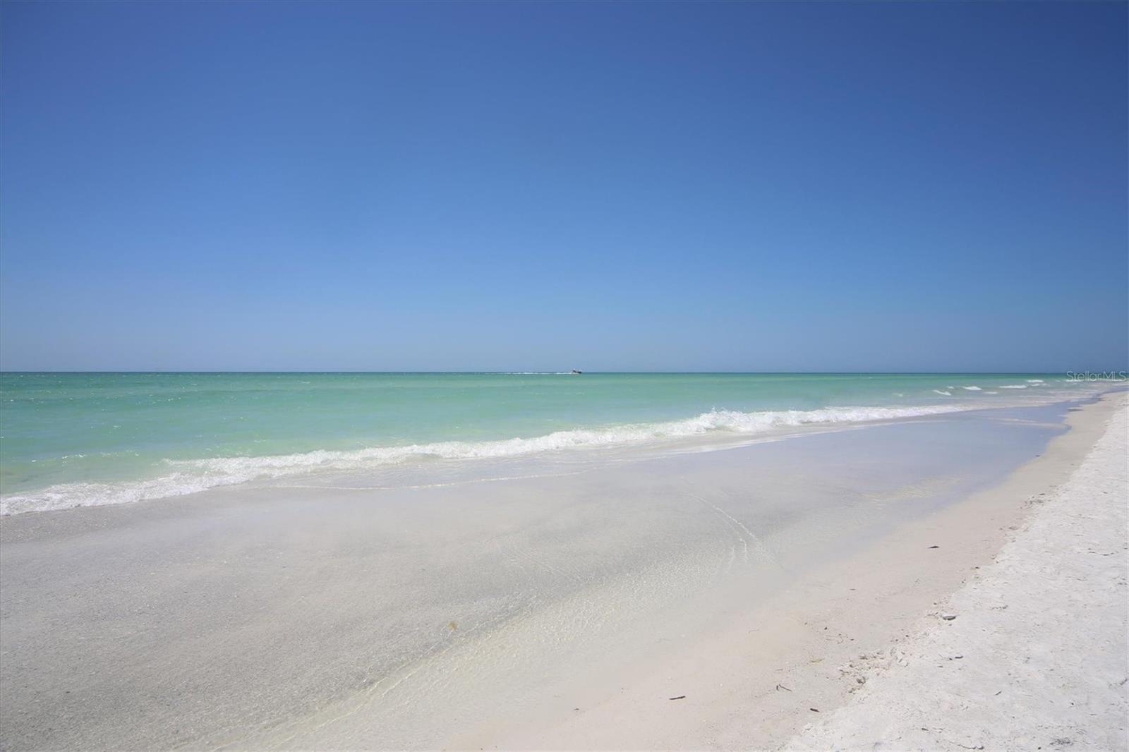 Image 44 of 45 For 905 Myrtle Avenue