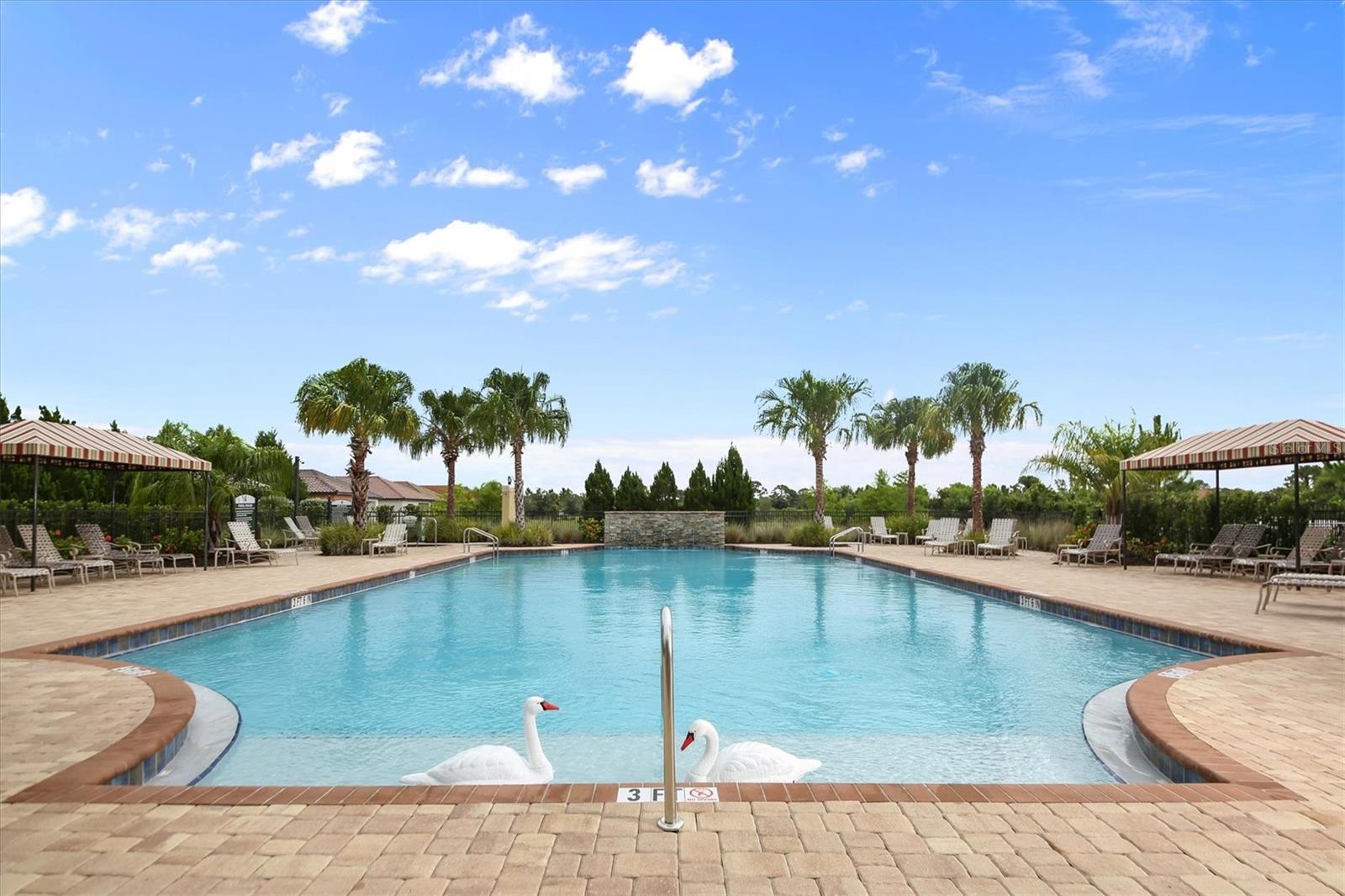 Image 53 of 100 For 245 Alfero Way