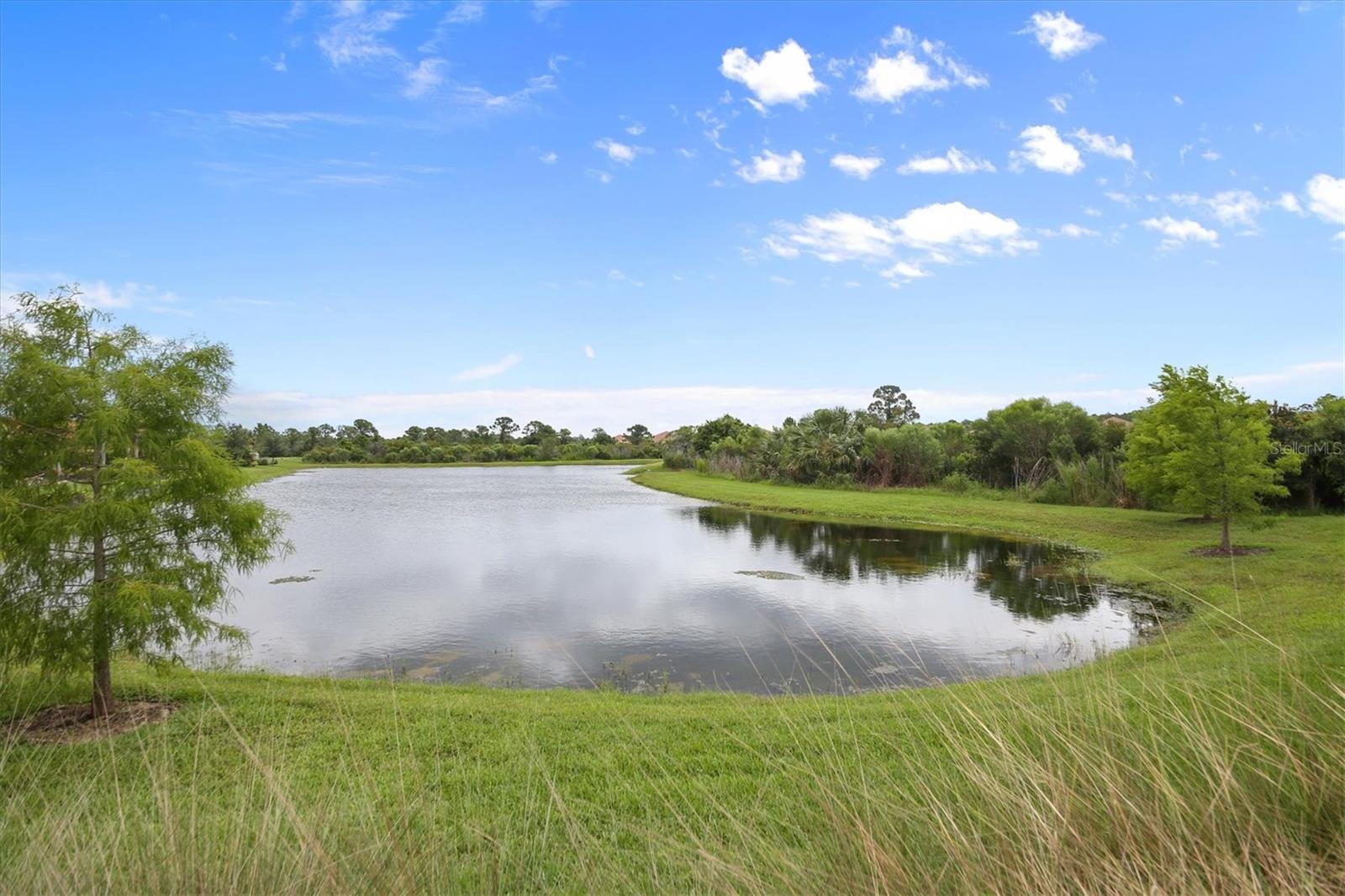 Image 56 of 100 For 245 Alfero Way