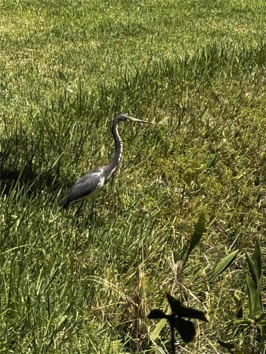 Image 48 of 75 For 4220 Central Sarasota Parkway 1214