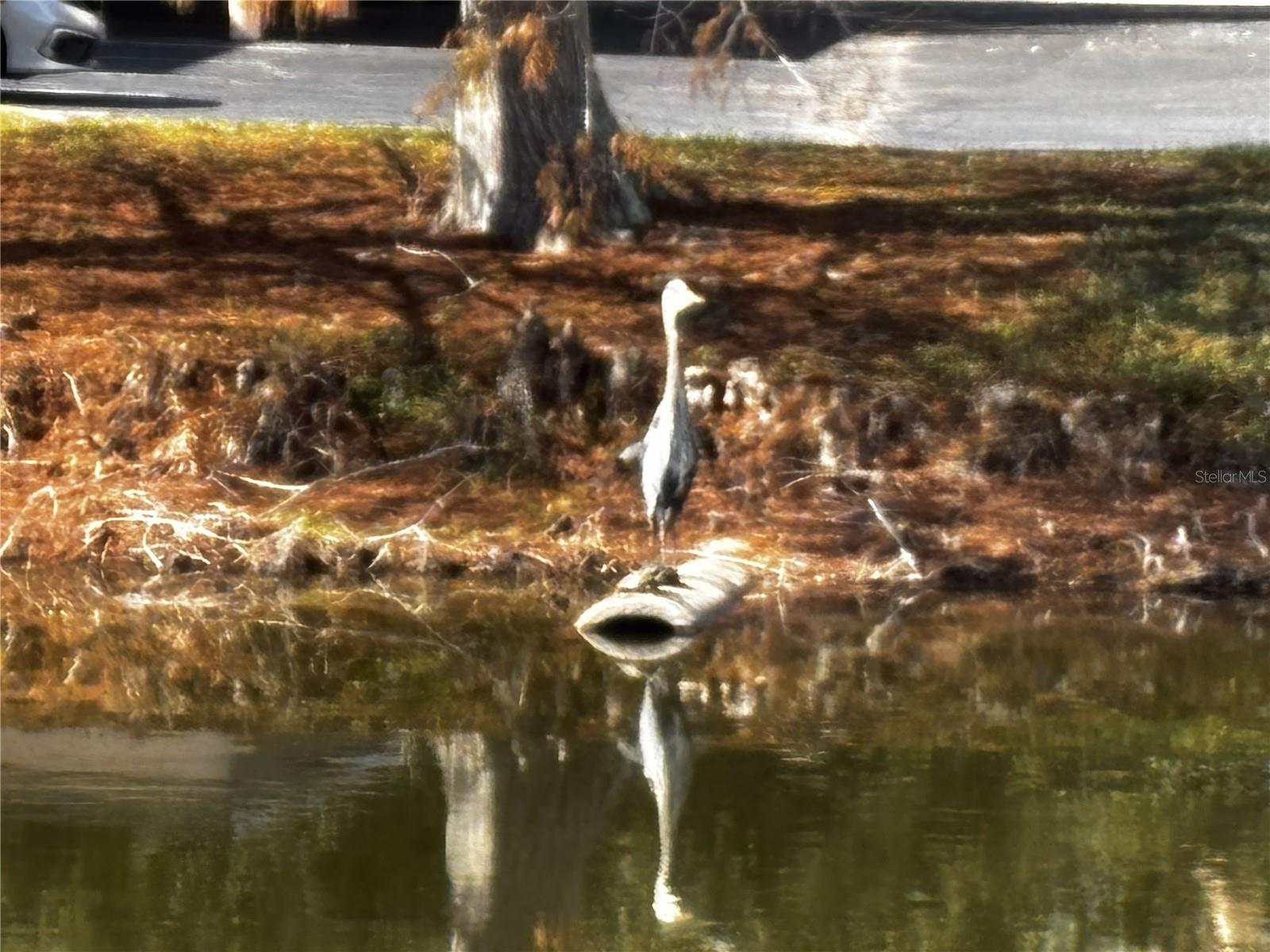 Image 49 of 75 For 4220 Central Sarasota Parkway 1214