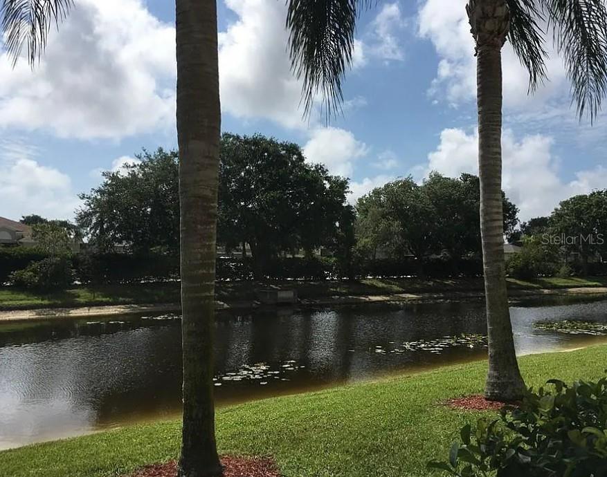 Image 17 of 25 For 5174 Northridge Road 311