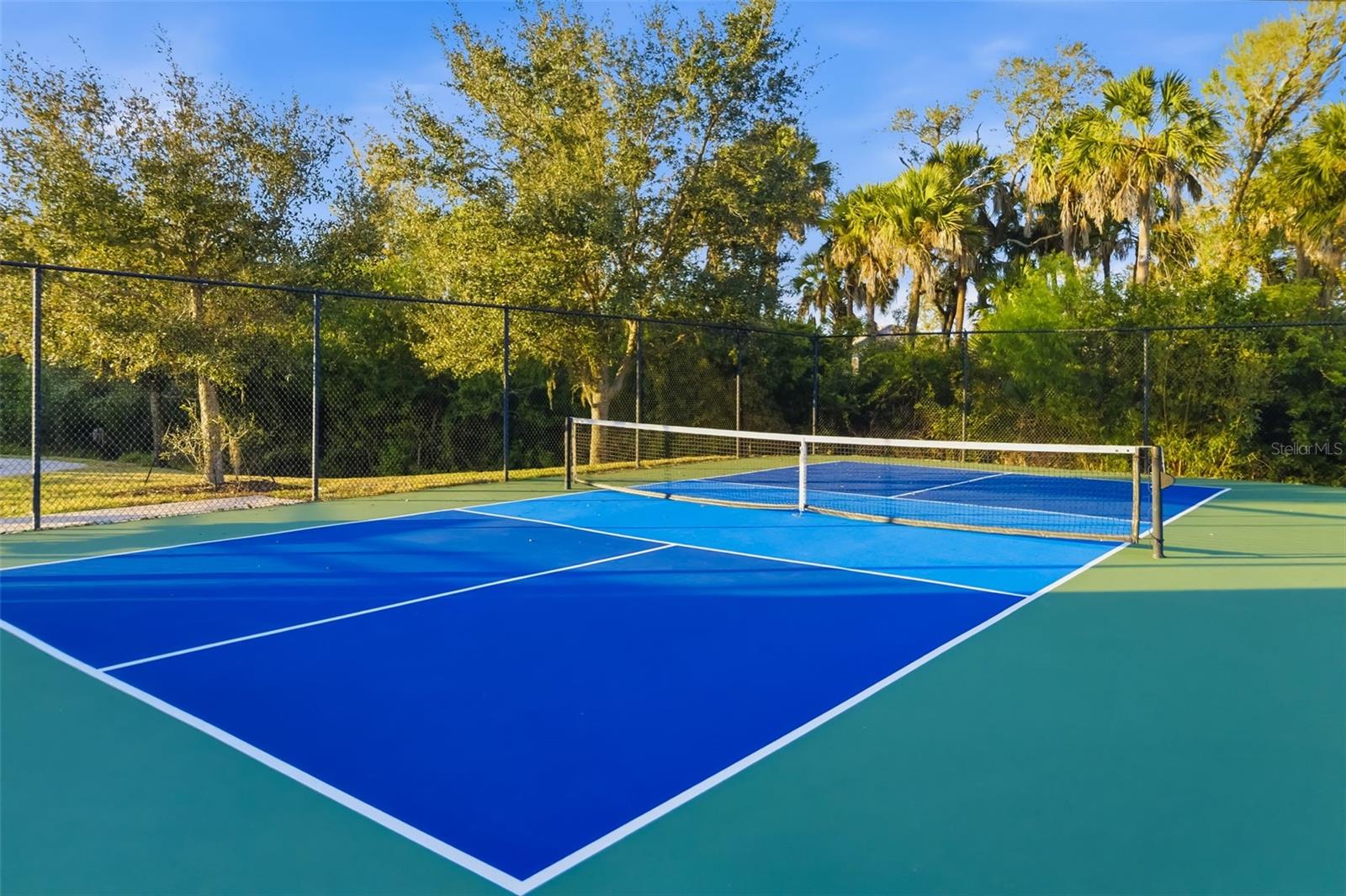 Image 45 of 78 For 11937 Blazing Star Dr